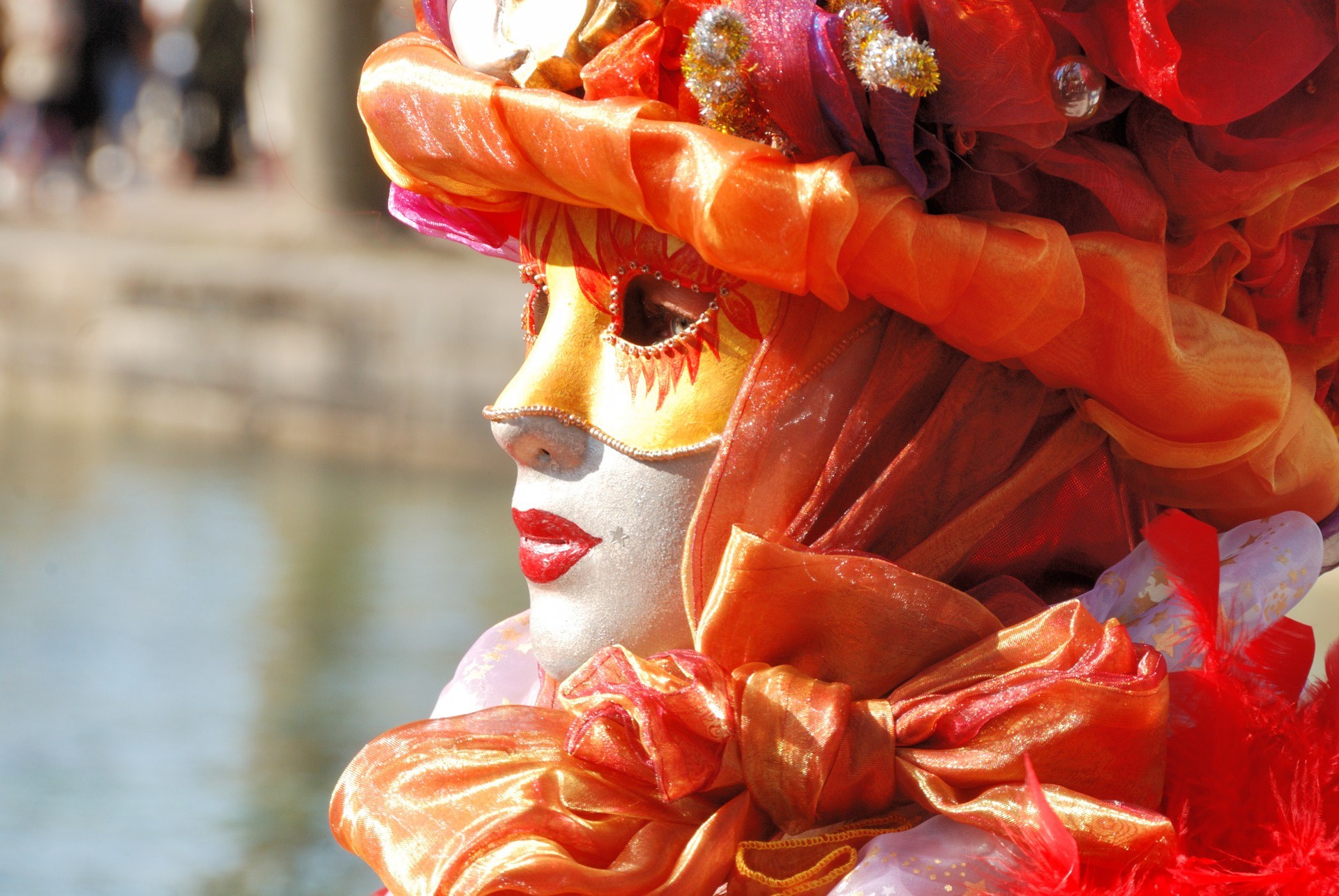 Nikon D80 sample photo. Carnaval vénitien annecy 2017 photography