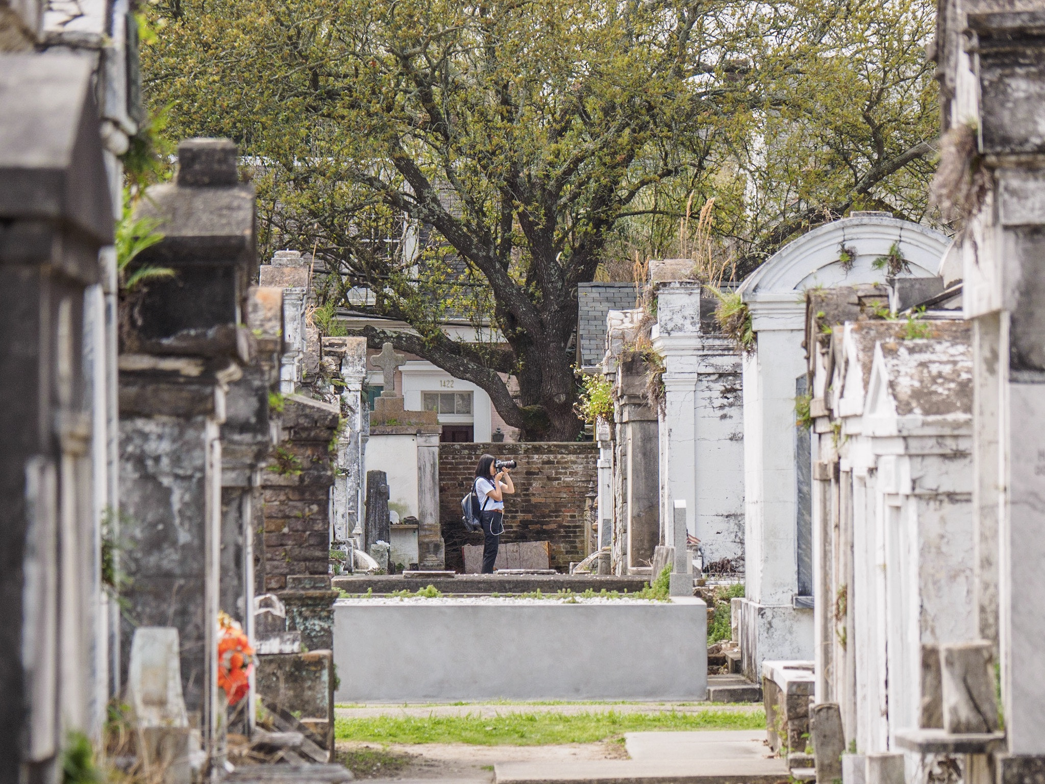 Olympus OM-D E-M1 sample photo. Cemetery photography