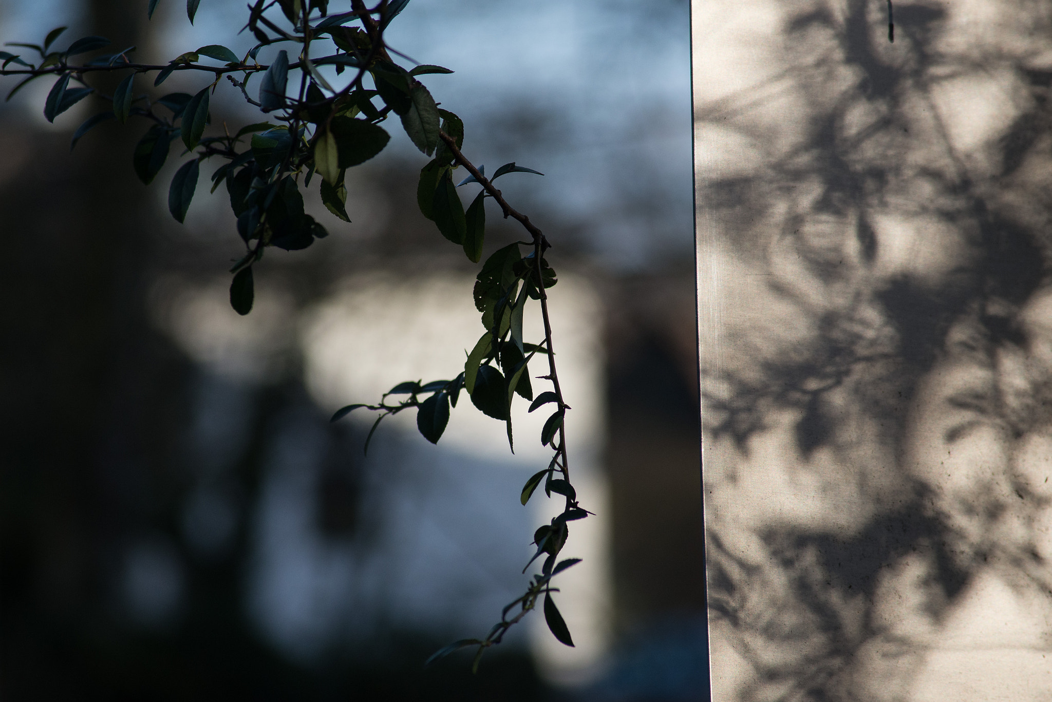 AF Zoom-Nikkor 80-200mm f/4.5-5.6D sample photo. Back of a street sign with shadow photography