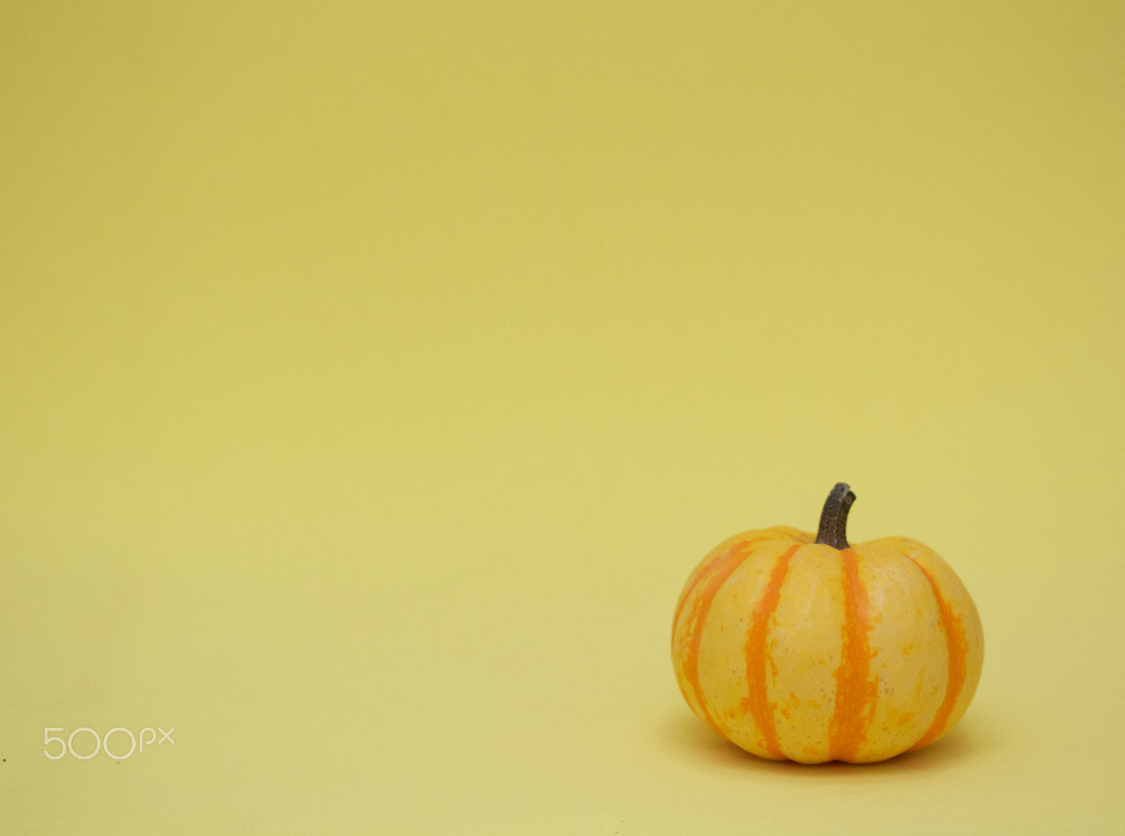 Canon EOS 7D sample photo. Pumpkin monochrome photography