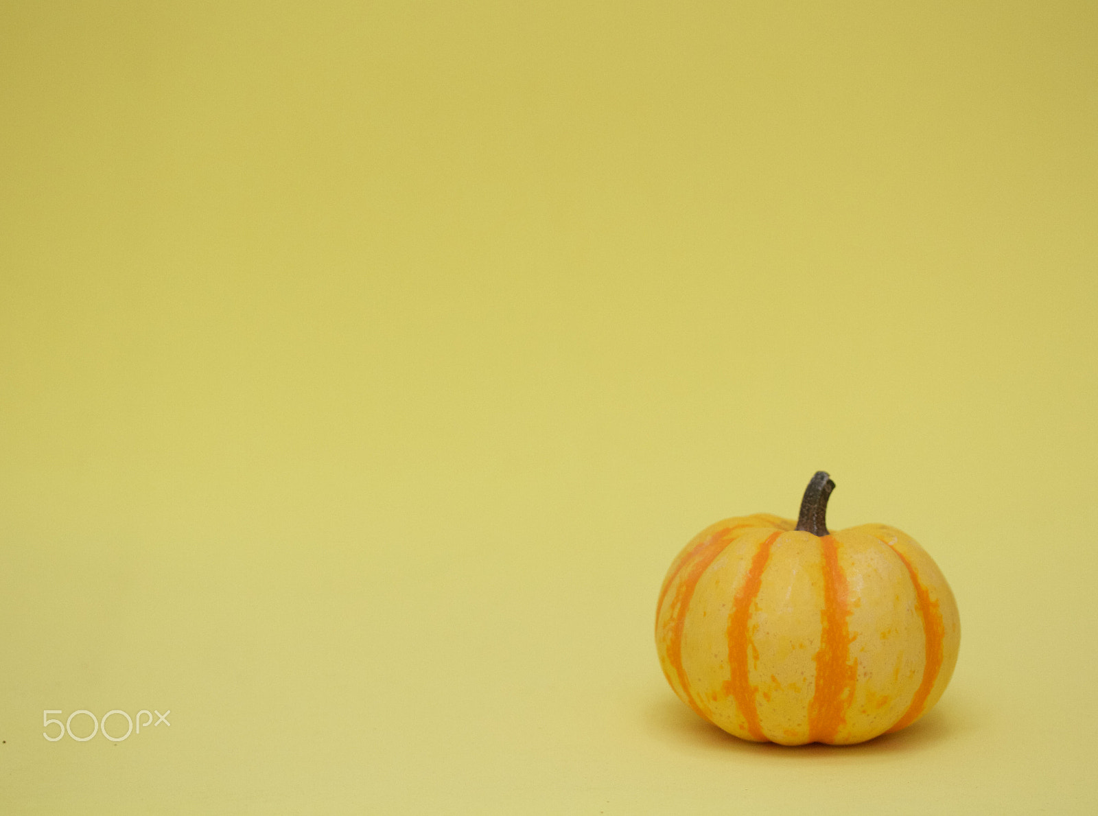 Canon EF-S 60mm F2.8 Macro USM sample photo. Pumpkin monochrome photography