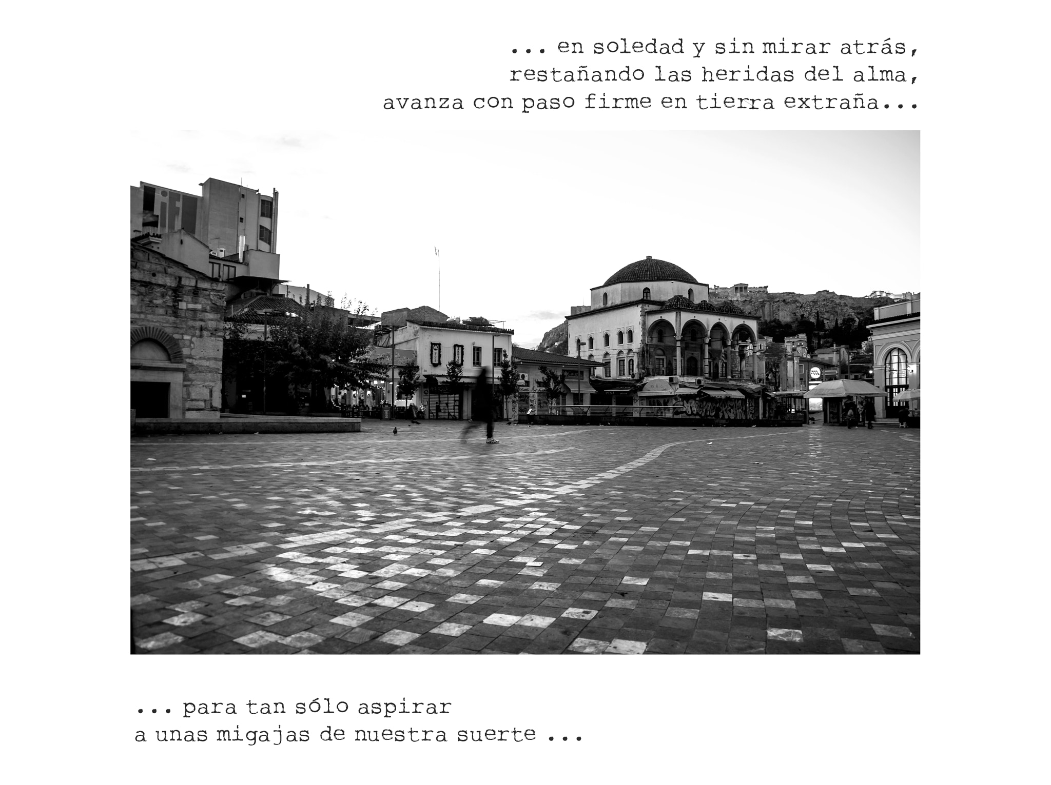 Nikon D300S sample photo