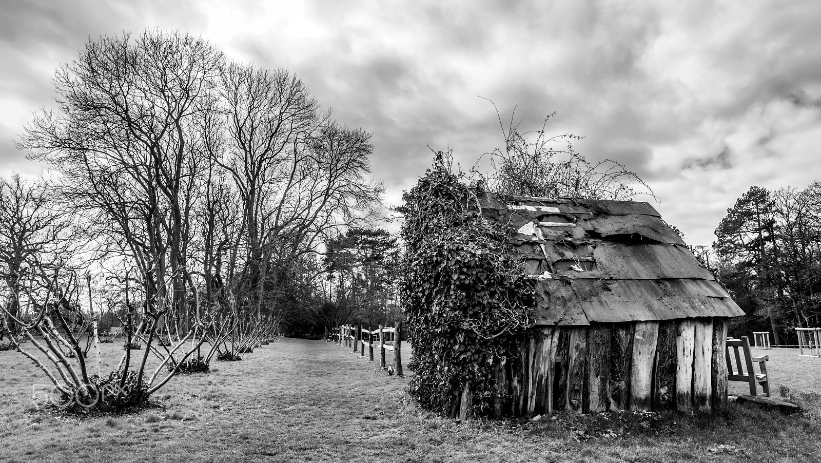 Nikon D810 + Nikon AF-S Nikkor 20mm F1.8G ED sample photo. That old shed photography