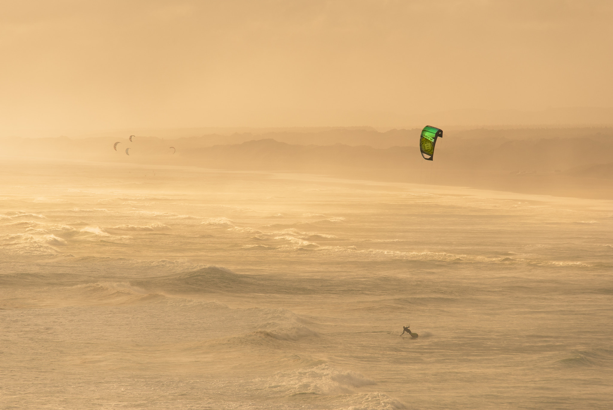 Nikon Nikkor AF-S 300mm F4E PF ED VR sample photo. On the wind! photography