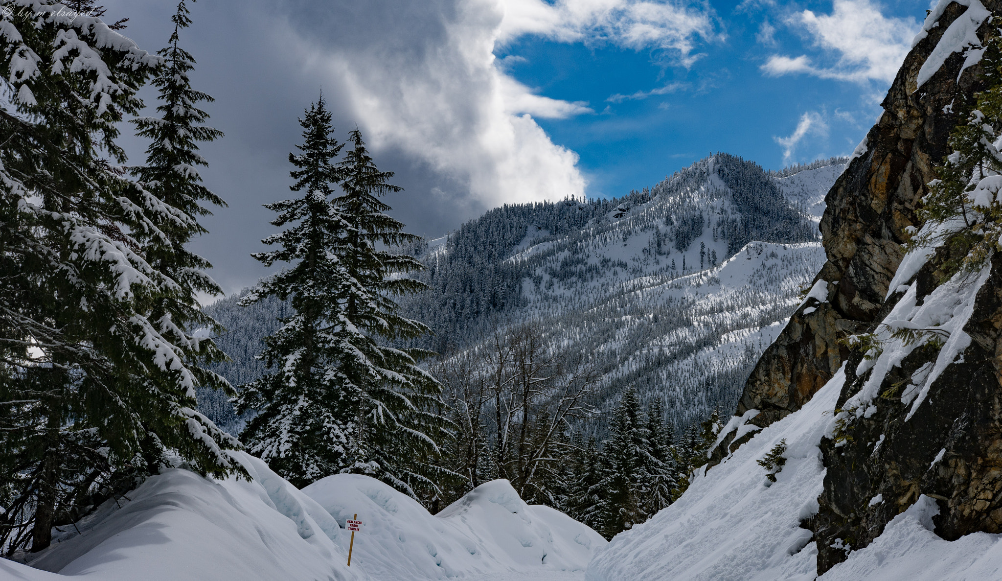 Nikon D7100 + Sigma 18-35mm F1.8 DC HSM Art sample photo. Seattle photography