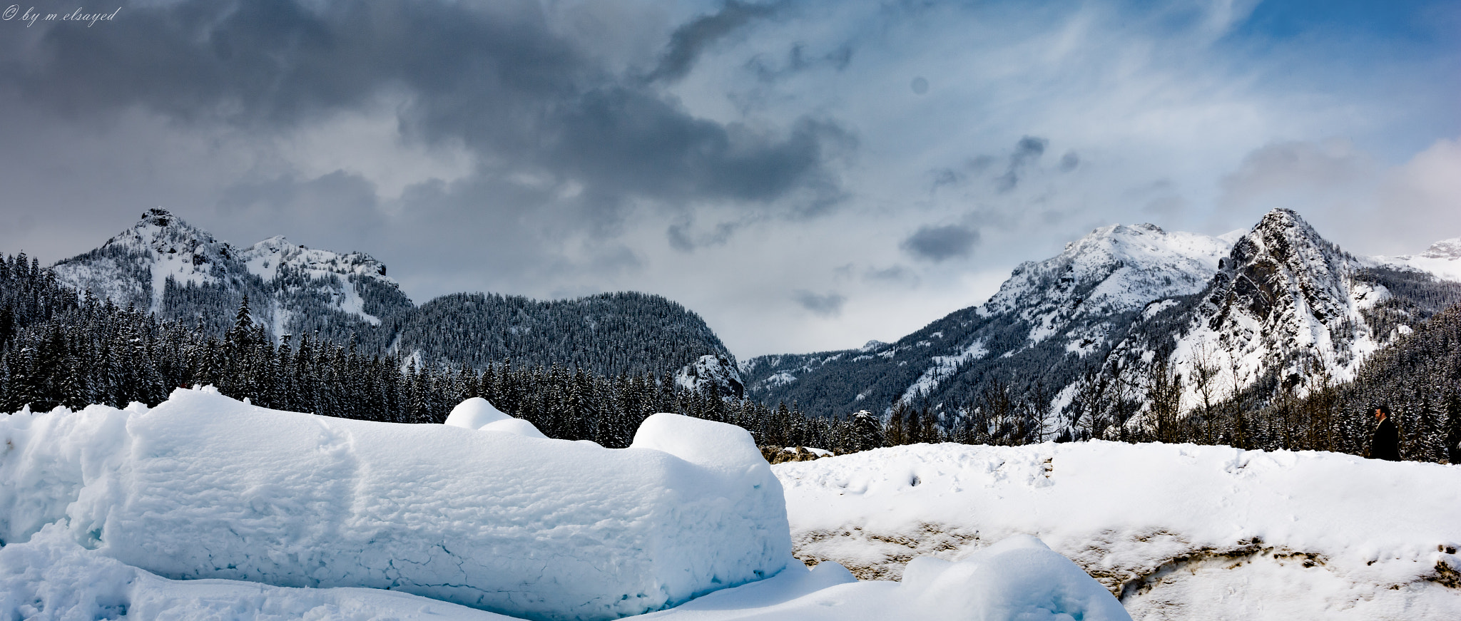Nikon D7100 + Sigma 18-35mm F1.8 DC HSM Art sample photo. Seattle photography