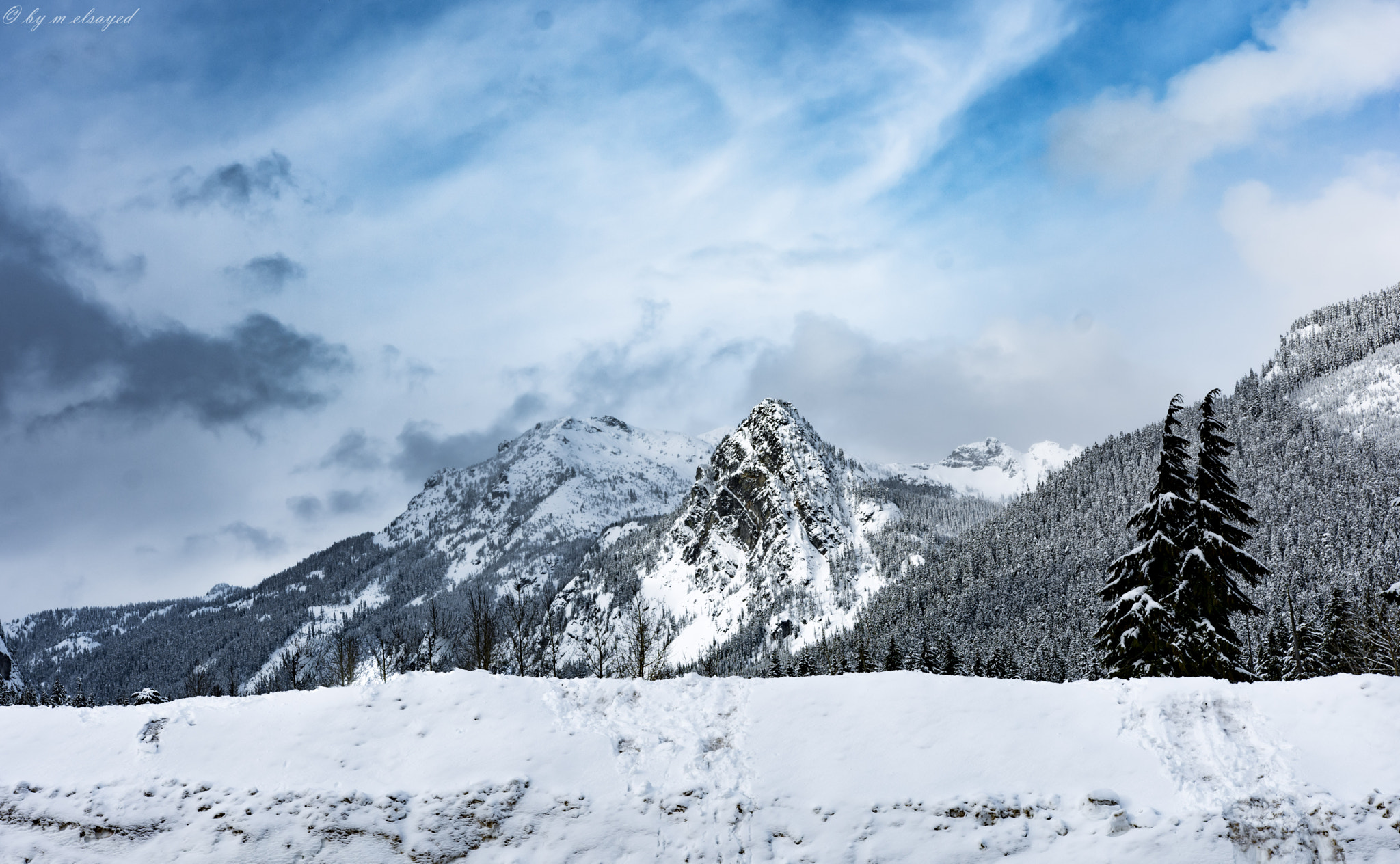 Nikon D7100 + Sigma 18-35mm F1.8 DC HSM Art sample photo. Seattle photography