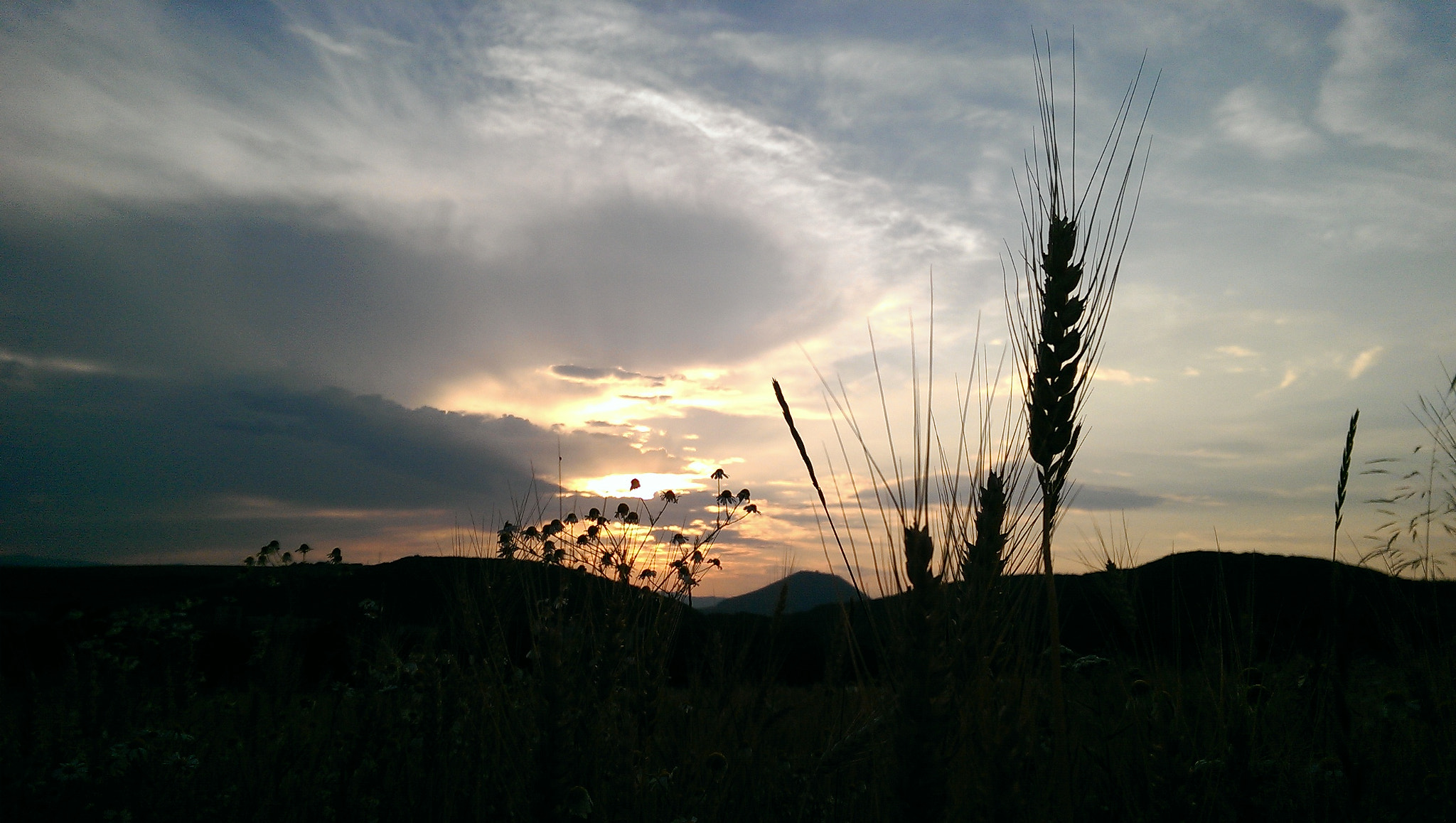 HTC ONE GOOGLE PLAY EDITION sample photo. Sunset over field photography