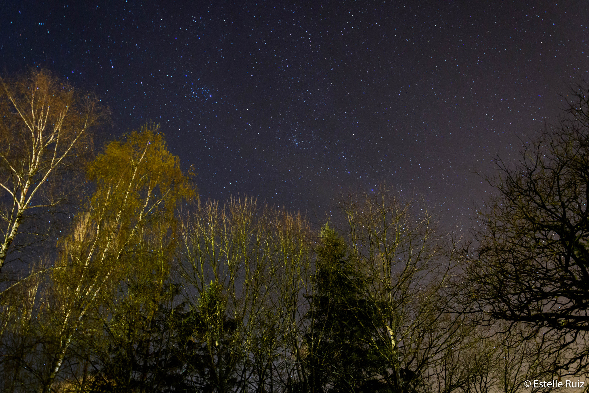 Nikon D500 sample photo. Astrophotography photography