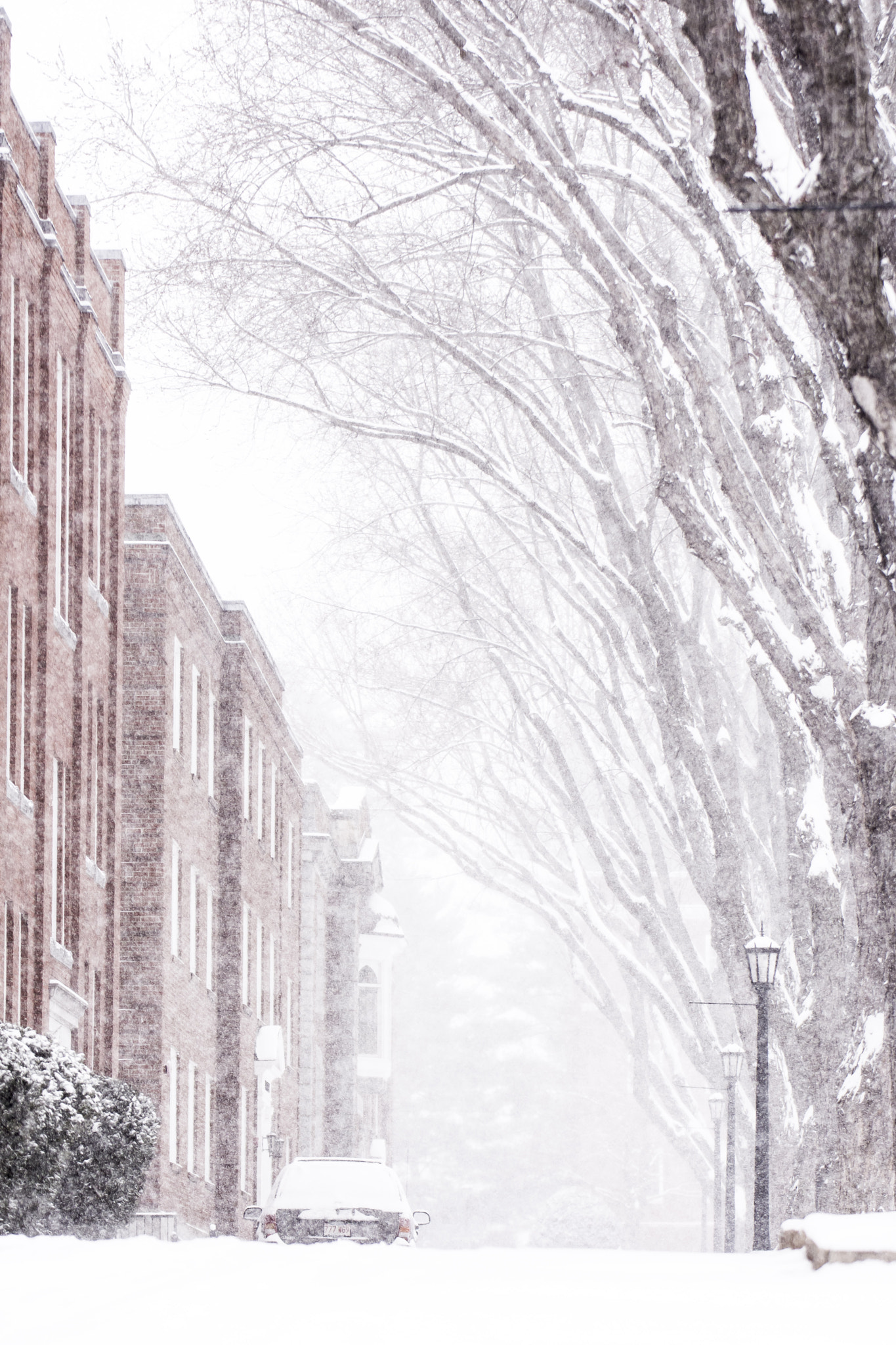 Nikon D7200 sample photo. Snowstorm photography