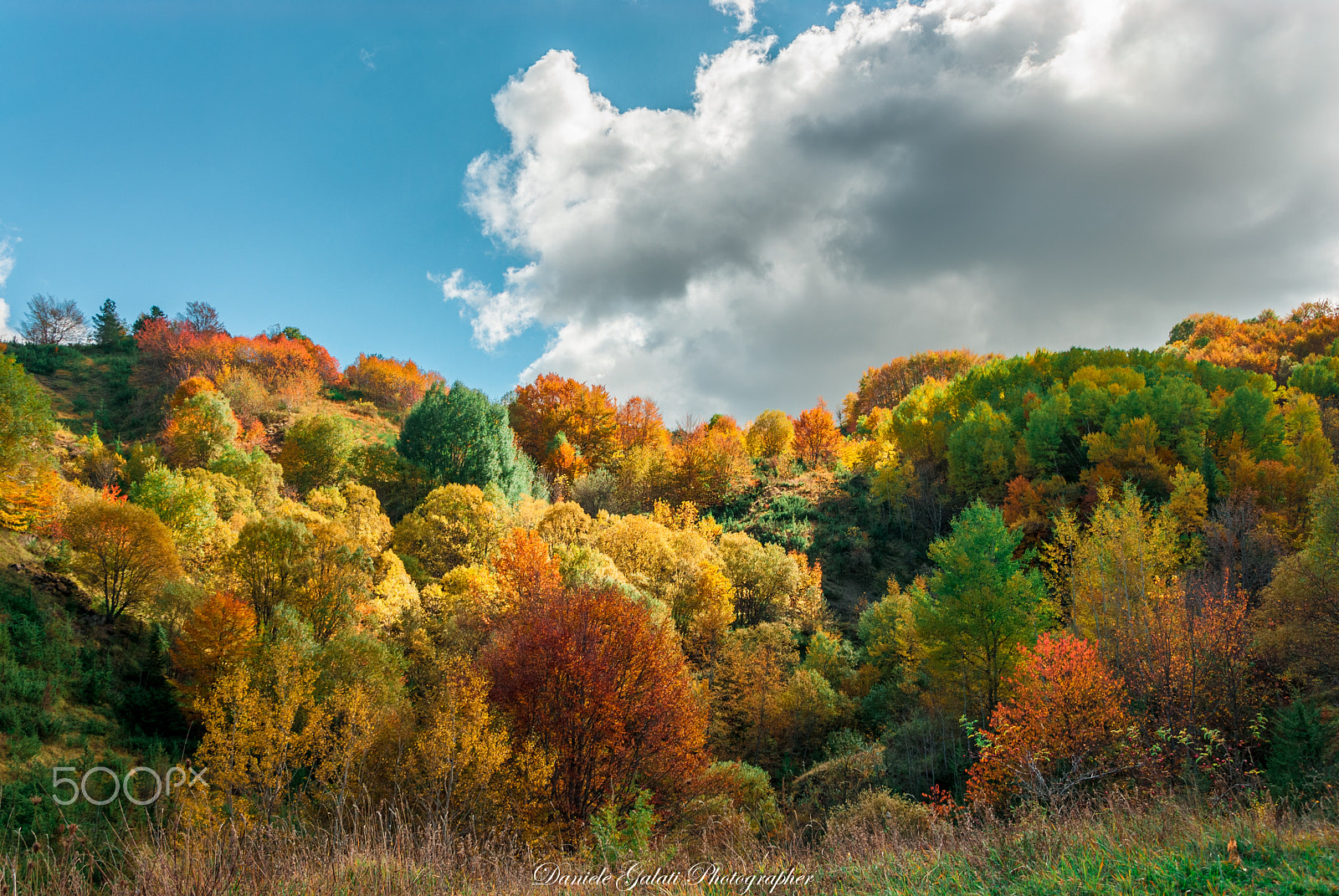 Nikon D200 sample photo. Autumn photography