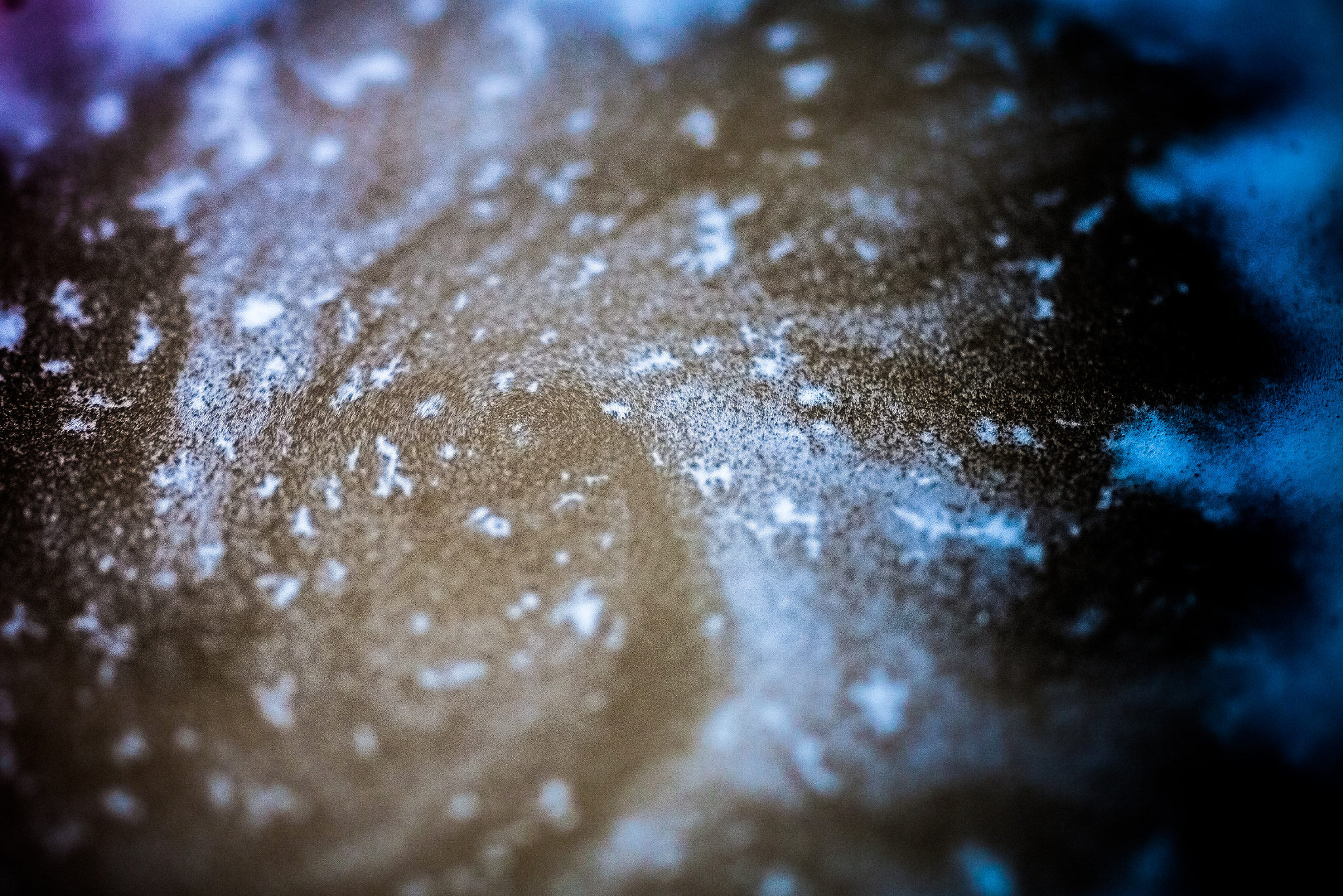 Sigma 50mm f/2.8 EX sample photo. Cyclone in a bowl photography