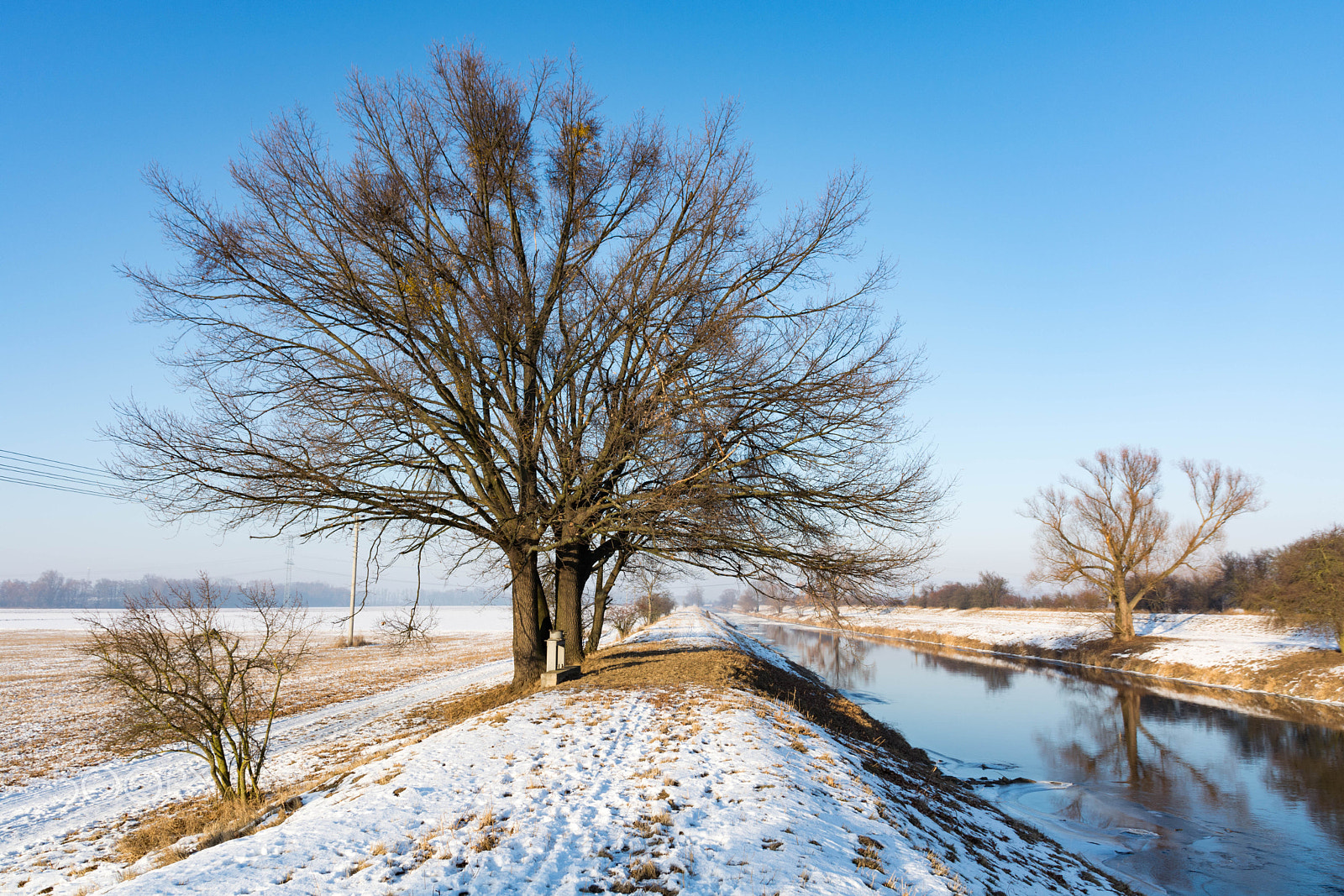 Nikon D5200 sample photo. Rajhrad in january photography