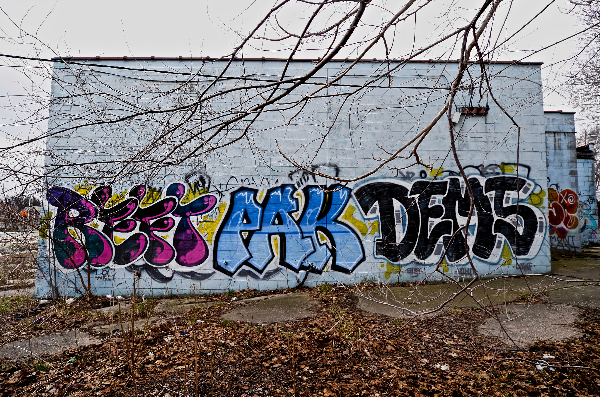 Leica T (Typ 701) sample photo. Reft x pak x dems photography