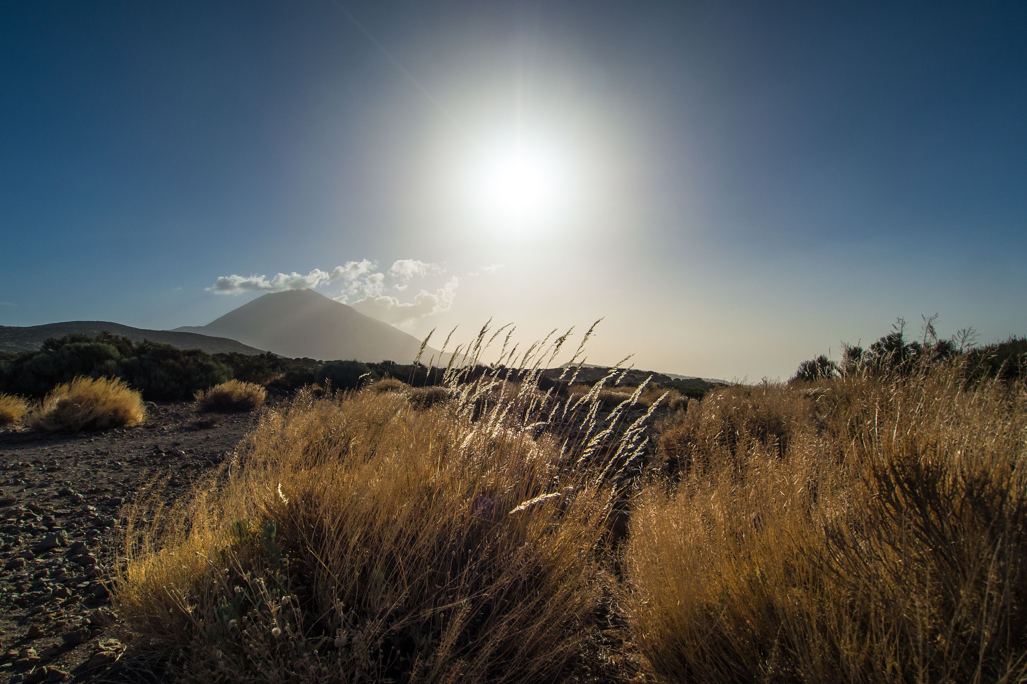 Olympus OM-D E-M5 + OLYMPUS M.9-18mm F4.0-5.6 sample photo. Teide and golden light photography