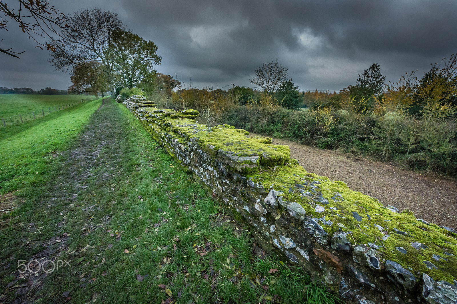 Nikon AF-S Nikkor 14-24mm F2.8G ED sample photo. Calleva atrebatum mood scene photography