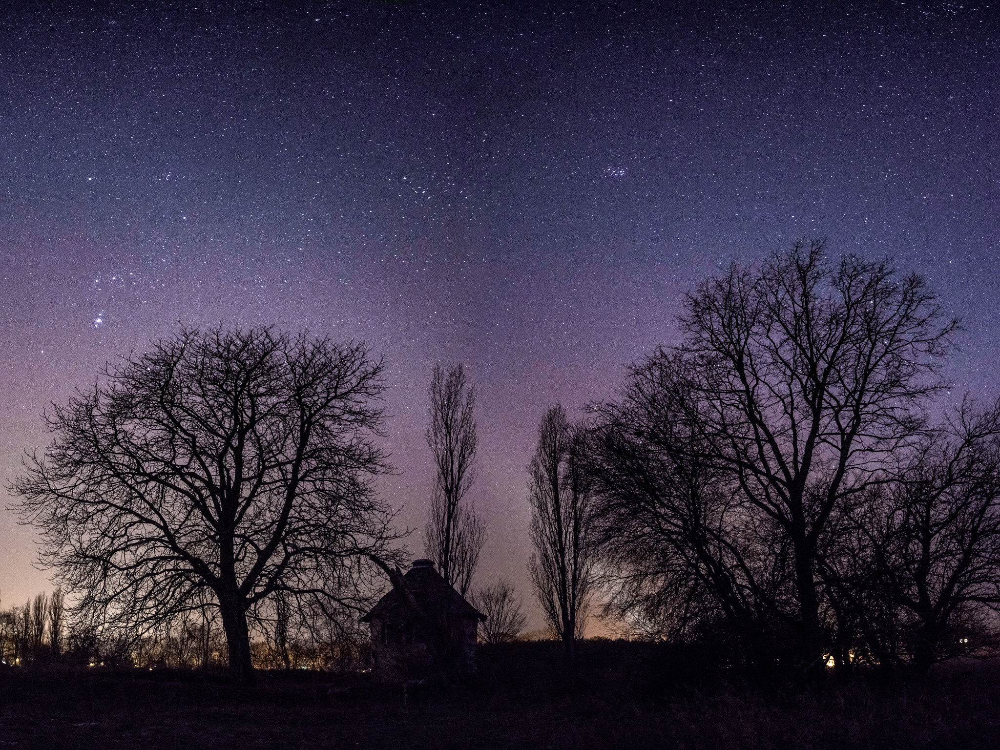 Samyang 16mm F2 ED AS UMC CS sample photo. January stars on field photography