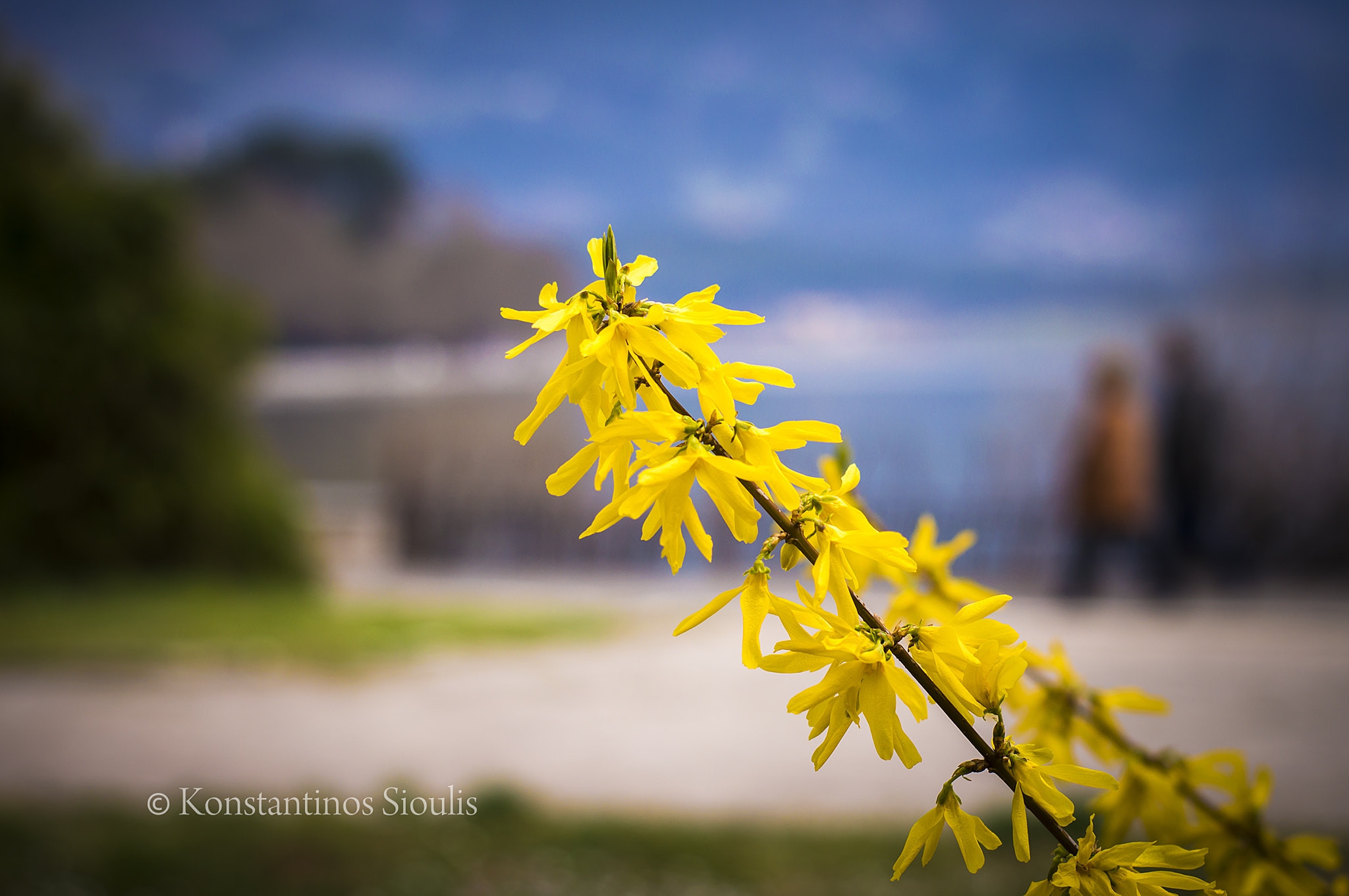 Nikon D3200 sample photo