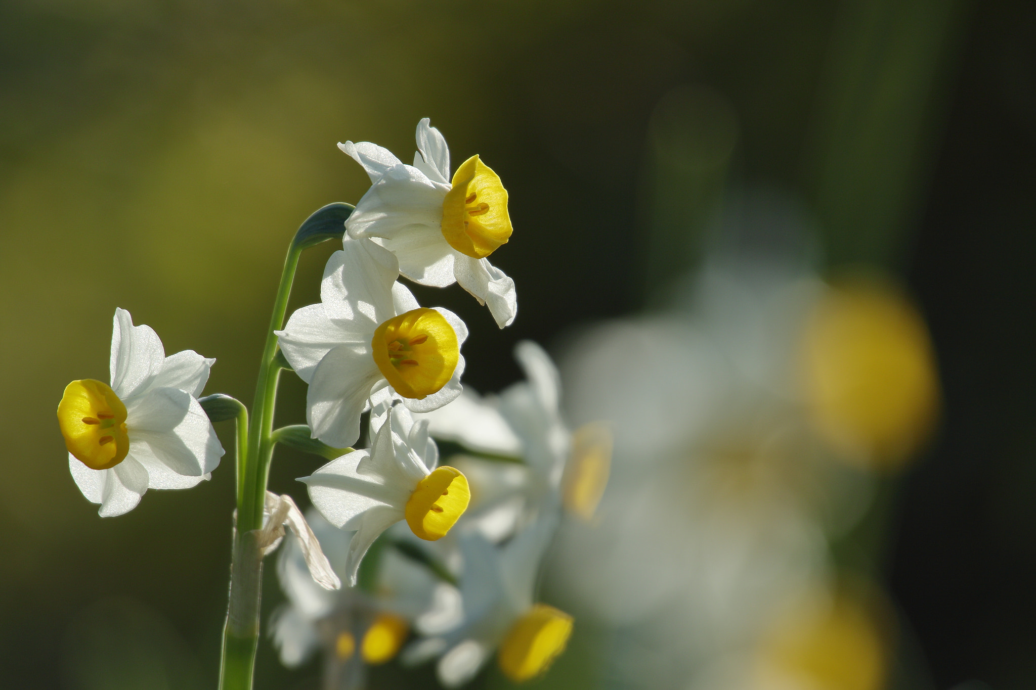 v2?sig=27f42f959d18930aeb89c47db75fc523a990cf3bfb8402b12beb58d8d5dea89c