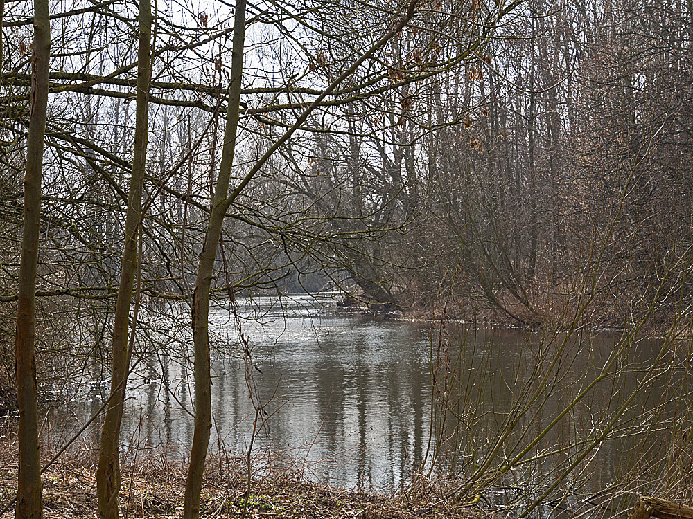 Olympus OM-D E-M5 sample photo. Oker bei rüningen, stadt braunschweig photography