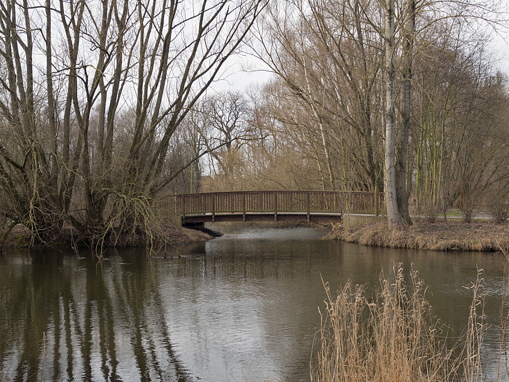 Olympus OM-D E-M5 sample photo. Oker bei rüningen, stadt braunschweig photography