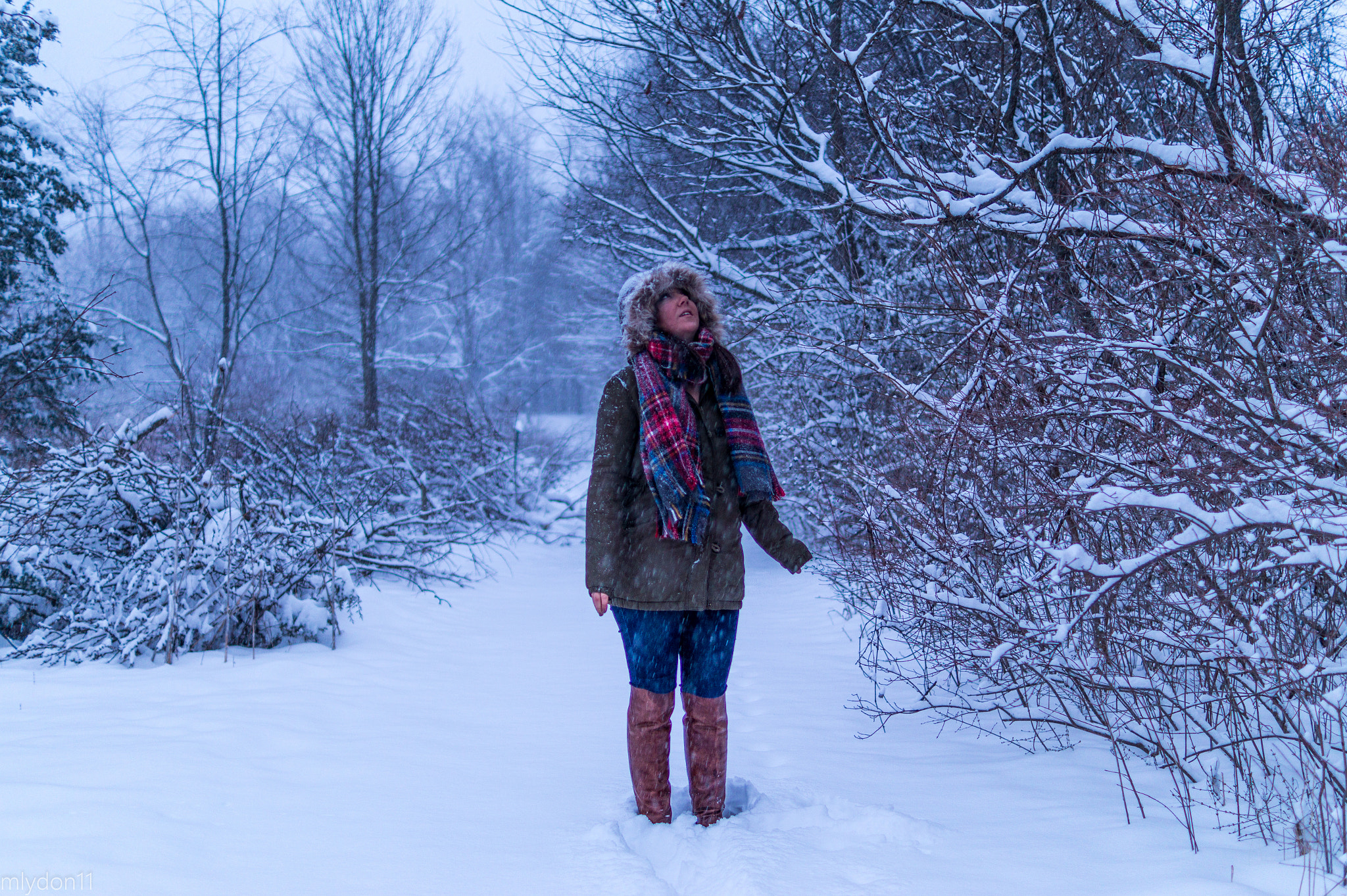 Sony DT 35mm F1.8 SAM sample photo. Let it snow photography