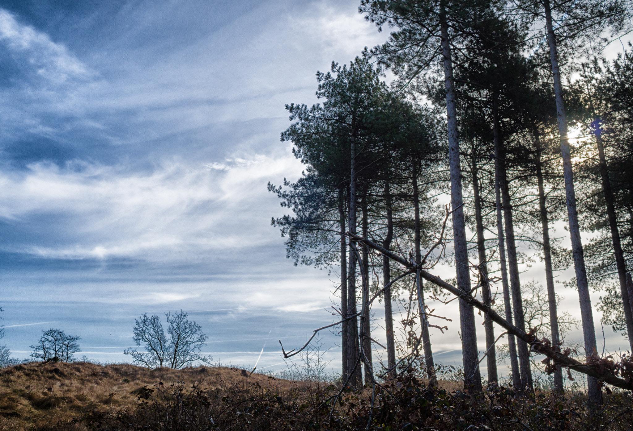 Leica X-E (TYP 102) sample photo. Duinen van egmond photography