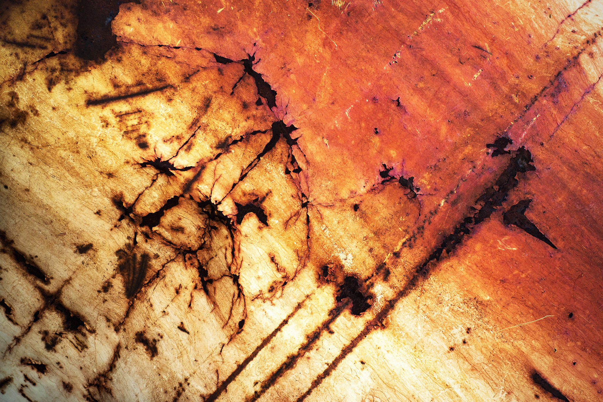 Nikon D5500 sample photo. Detail damaged paint on metal photography