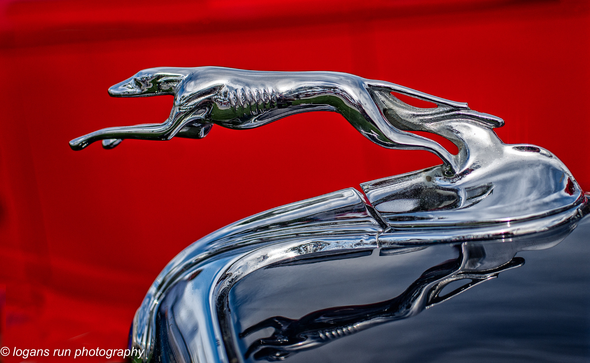 Nikon D800E sample photo. Hood ornament on a 1947 ford photography