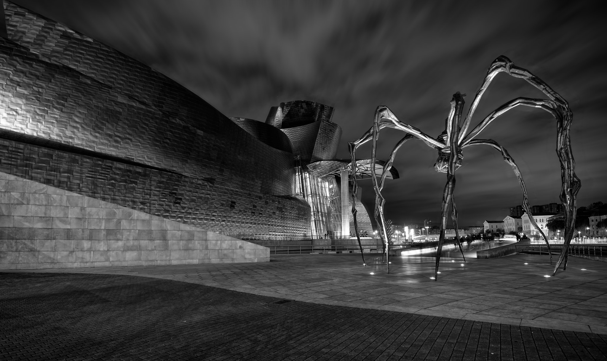 Tamron SP 15-30mm F2.8 Di VC USD sample photo. Bw spider photography