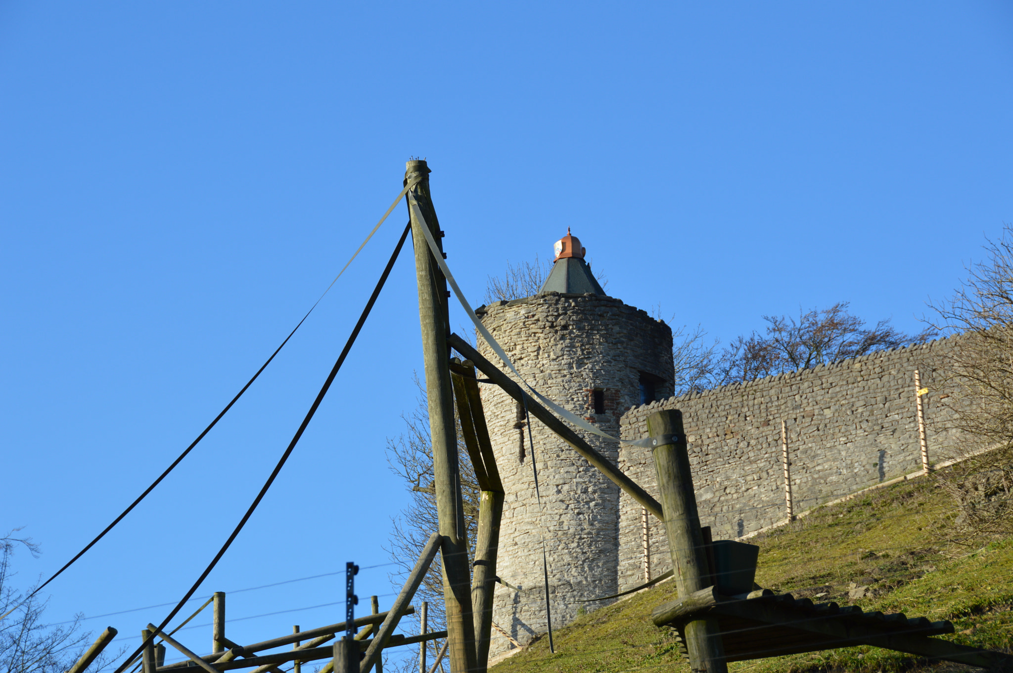Nikon D3200 sample photo