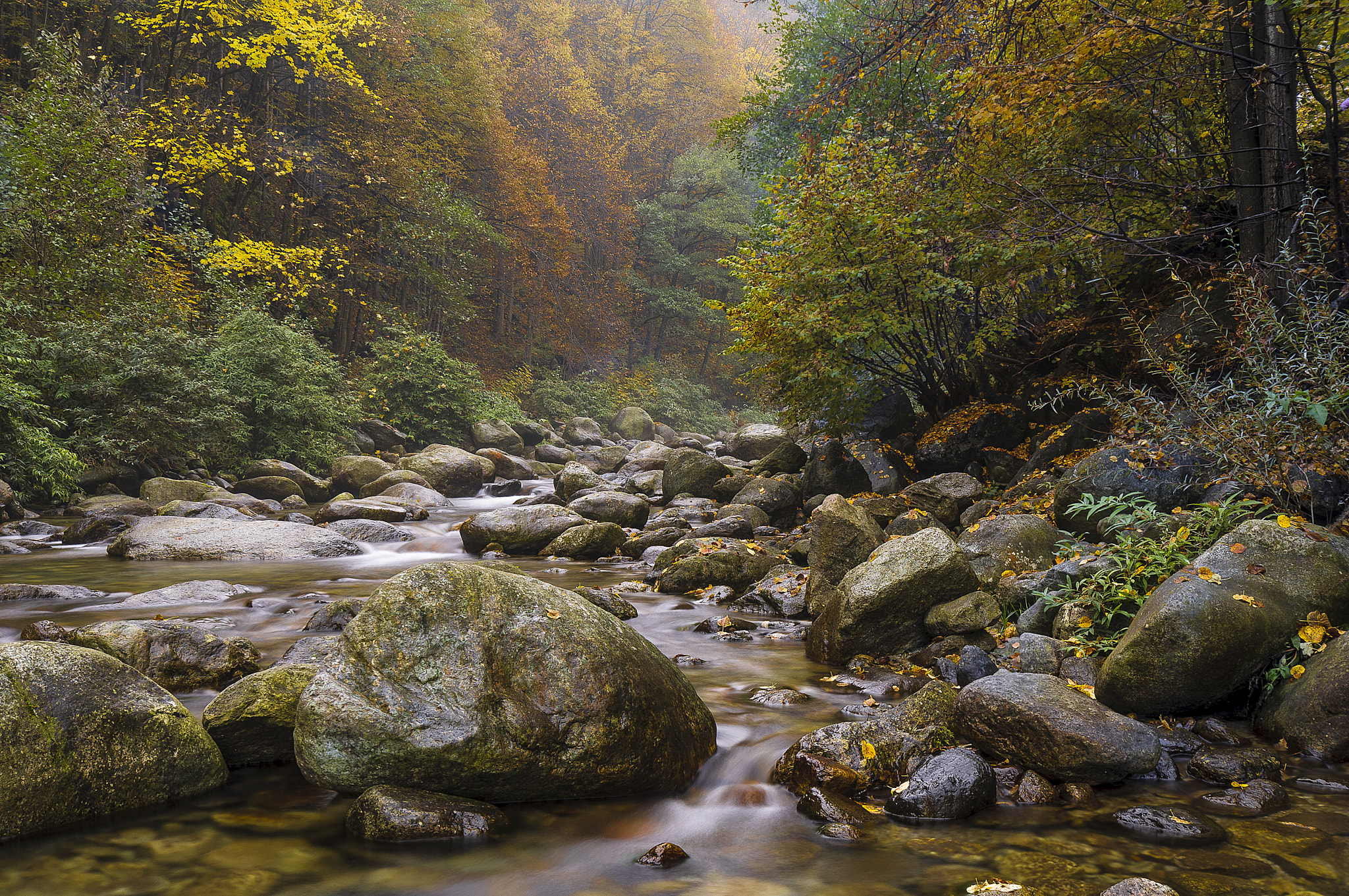 Nikon D300S sample photo. Autumn river photography