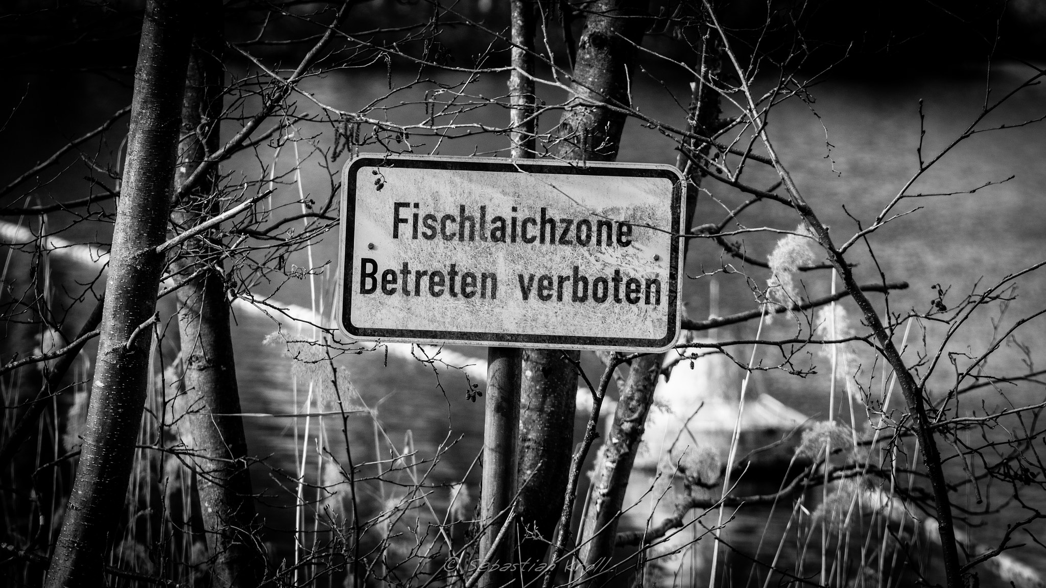 Canon EOS 1200D (EOS Rebel T5 / EOS Kiss X70 / EOS Hi) sample photo. No trespassing sign photography