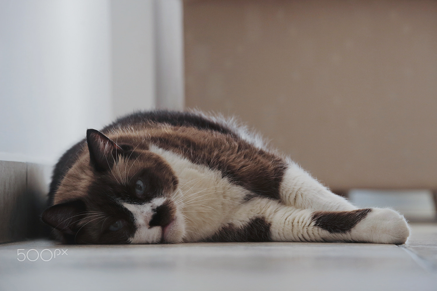 Canon EOS 700D (EOS Rebel T5i / EOS Kiss X7i) sample photo. 7/5/2015 photography