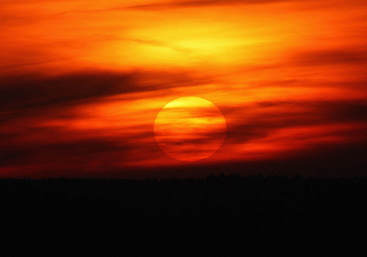 Sigma 50-500mm f/4-6.3 APO HSM EX sample photo. Sun in the evening photography