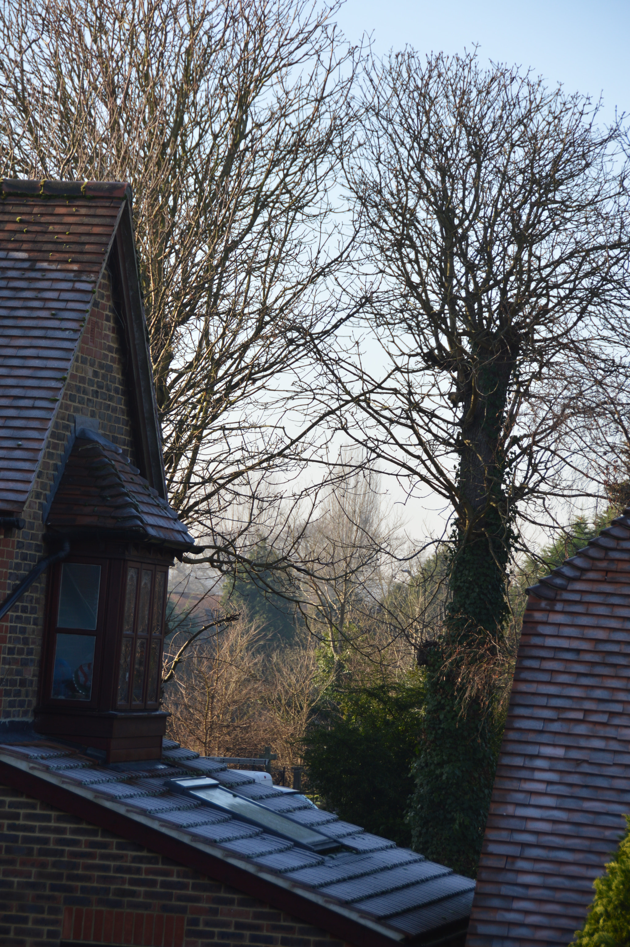 Nikon D3200 sample photo