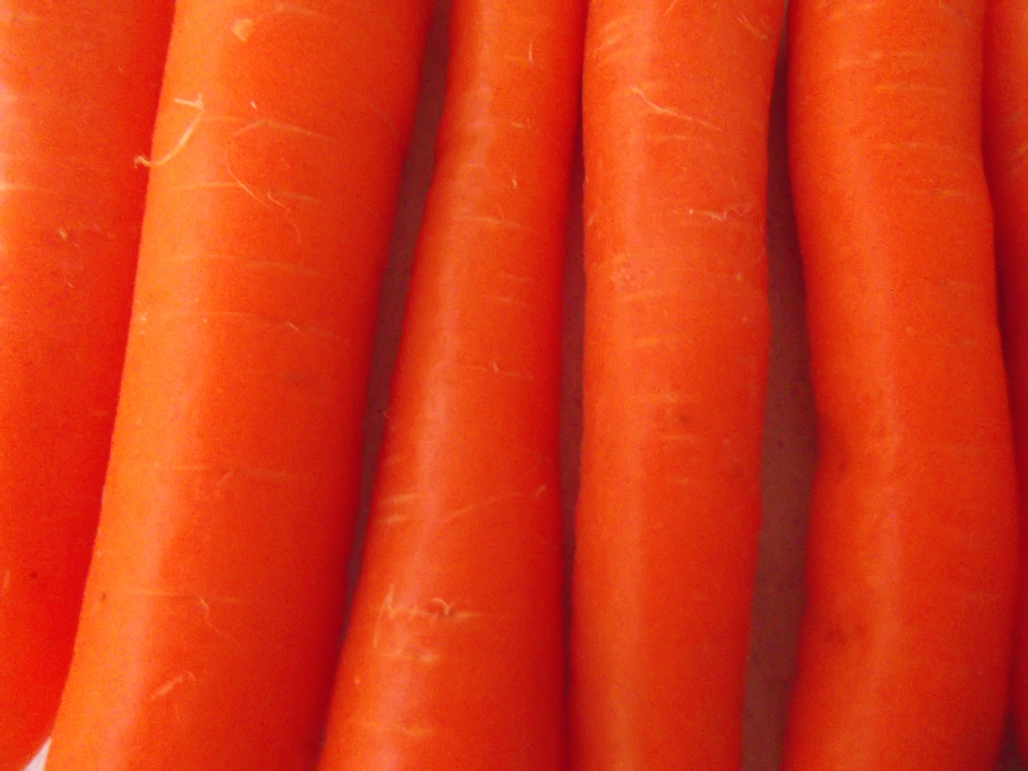 Fujifilm FinePix T350 sample photo. Carrots photography