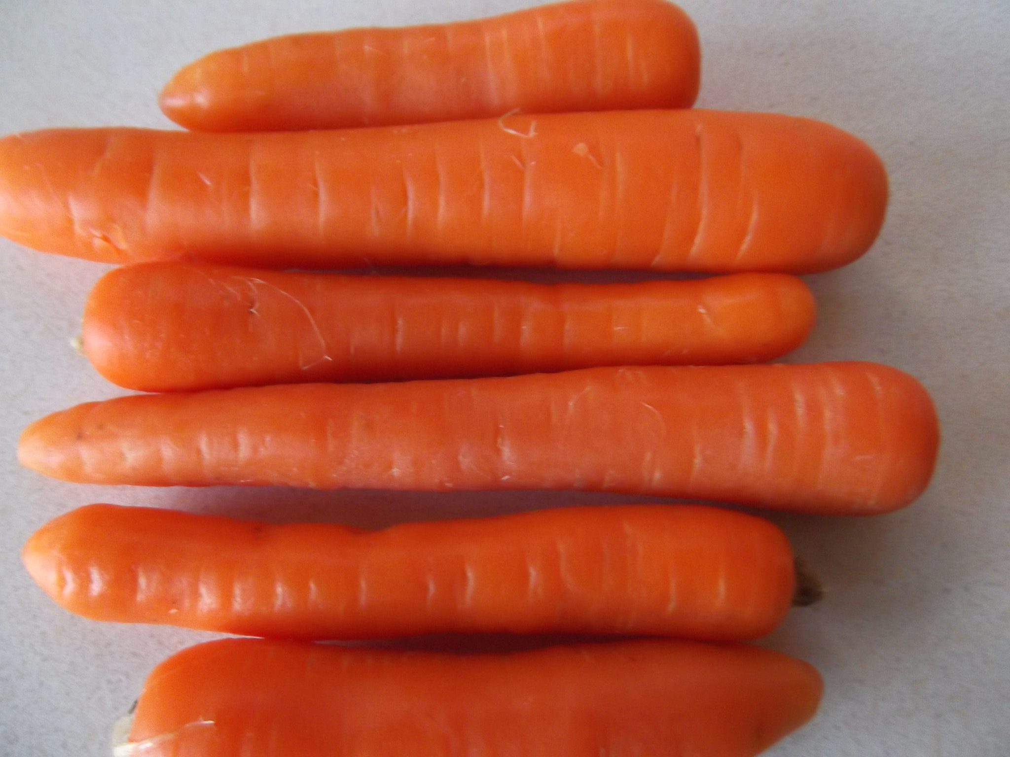 Fujifilm FinePix T350 sample photo. Carrots photography