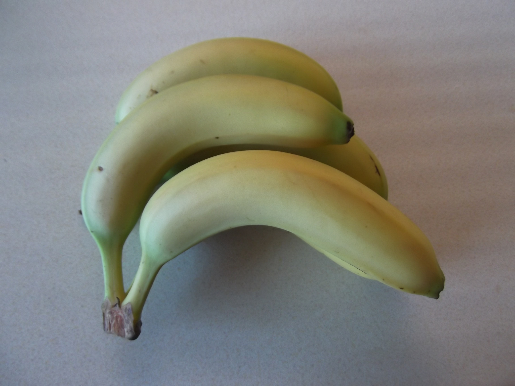 Fujifilm FinePix T350 sample photo. Bananas photography