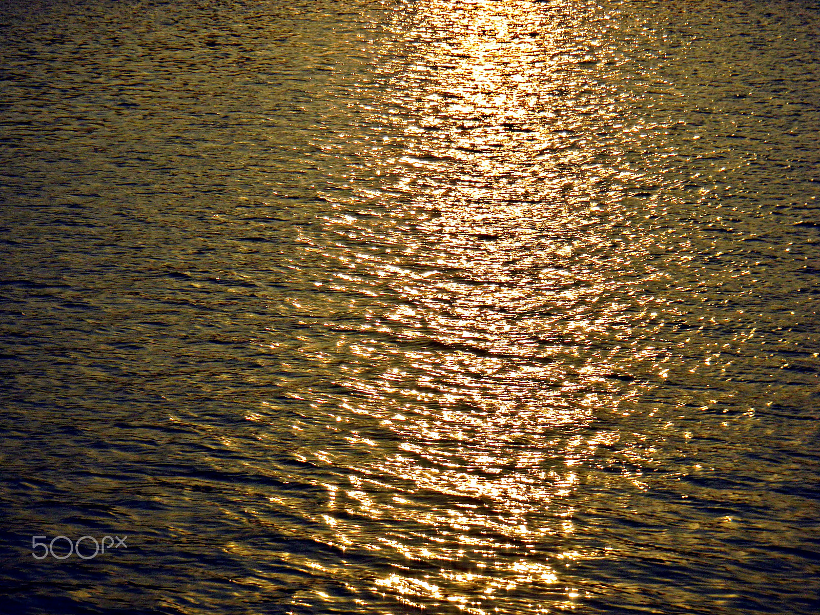 Nikon Coolpix S1200pj sample photo. A golden spread of water photography