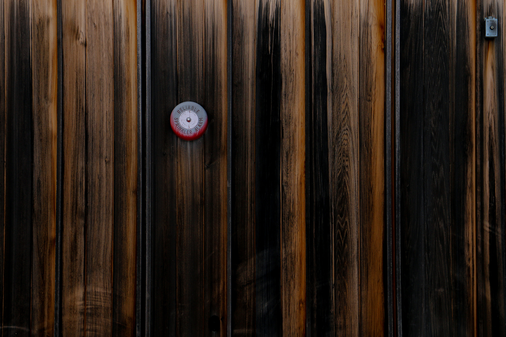 Sigma 17-70mm F2.8-4 DC Macro OS HSM sample photo. The wall  photography