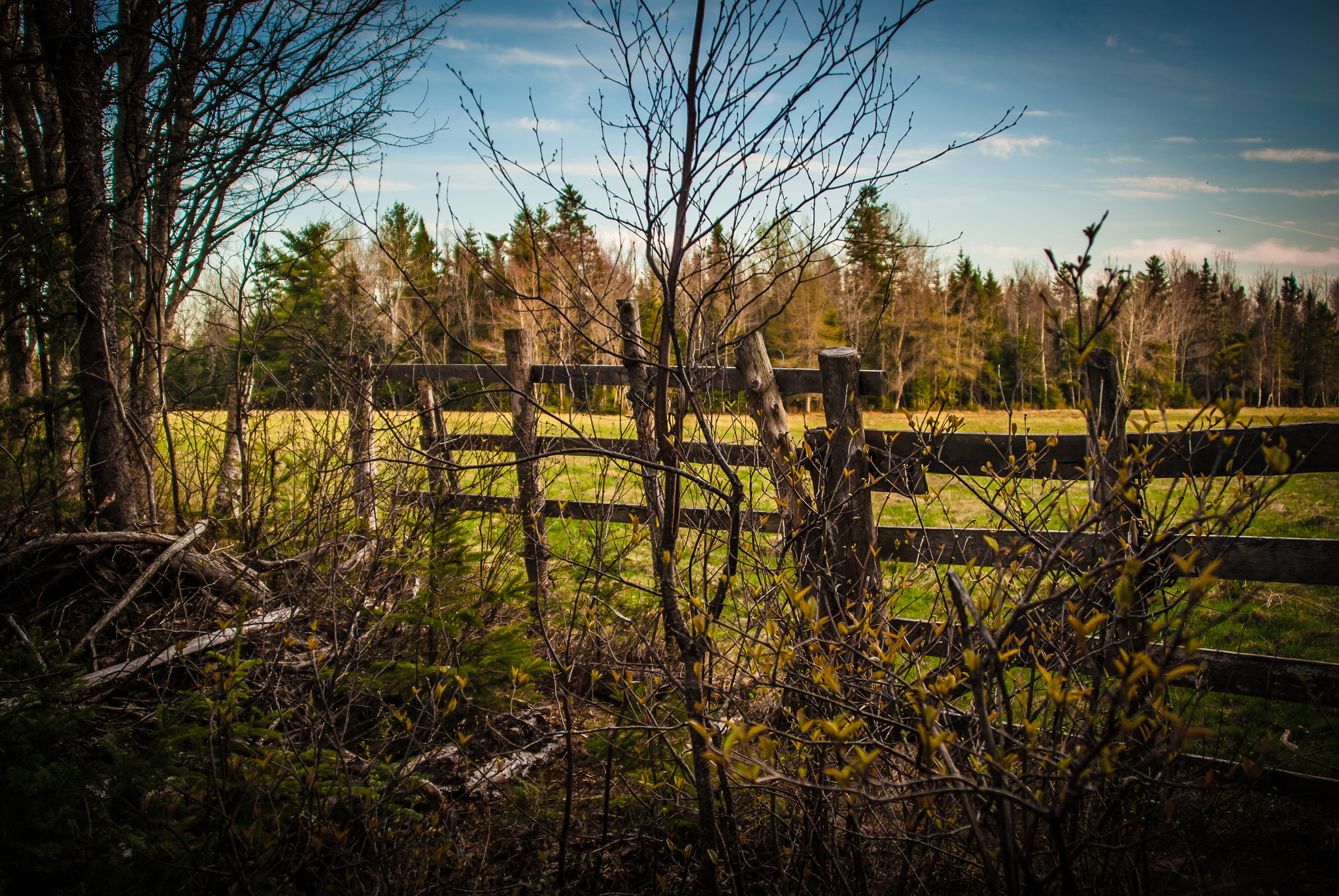 Minolta/Sony AF 24-105mm F3.5-4.5 (D) sample photo. Fence line photography