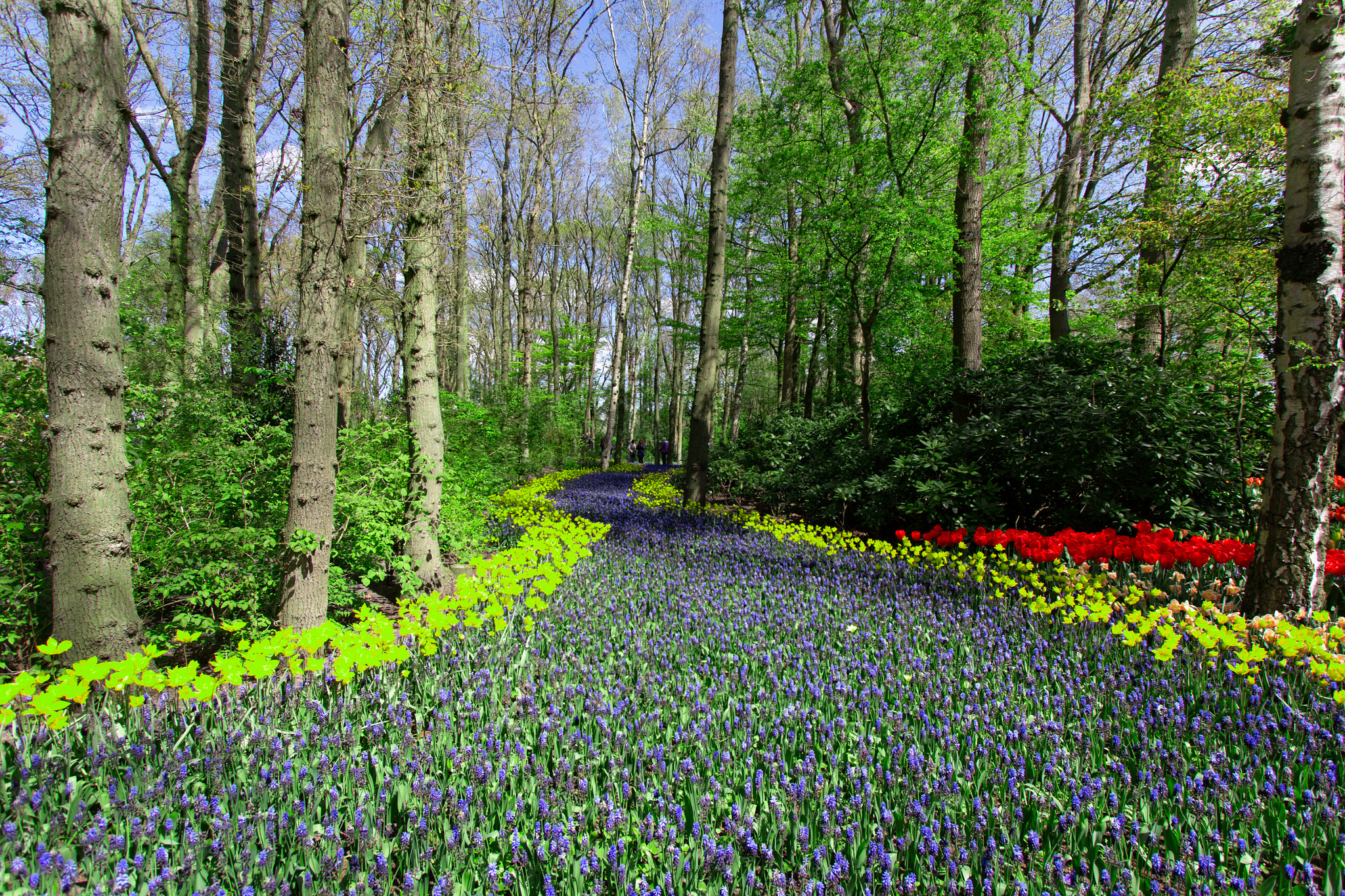 Canon EF-S 10-22mm F3.5-4.5 USM sample photo. Spring is here! photography