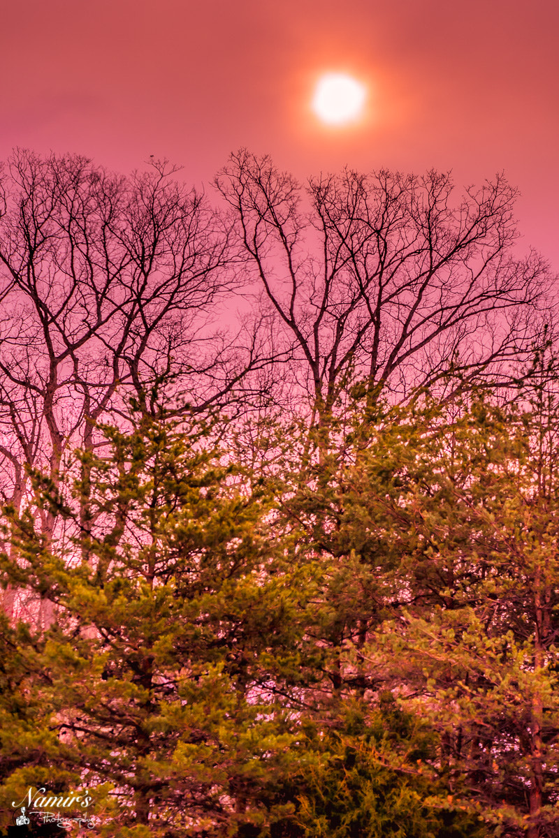 Nikon AF-S DX Micro-Nikkor 85mm F3.5G ED VR sample photo. Reston sky photography