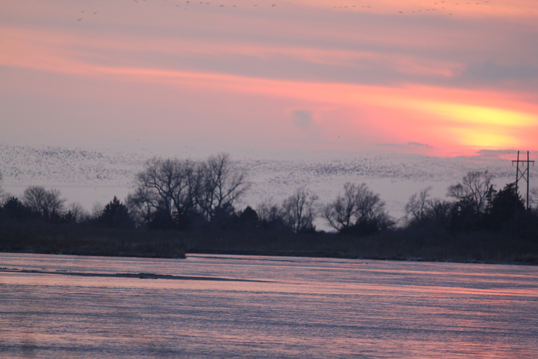 Canon EOS 60D sample photo. A cloud of sandhill cranes over the platte river photography