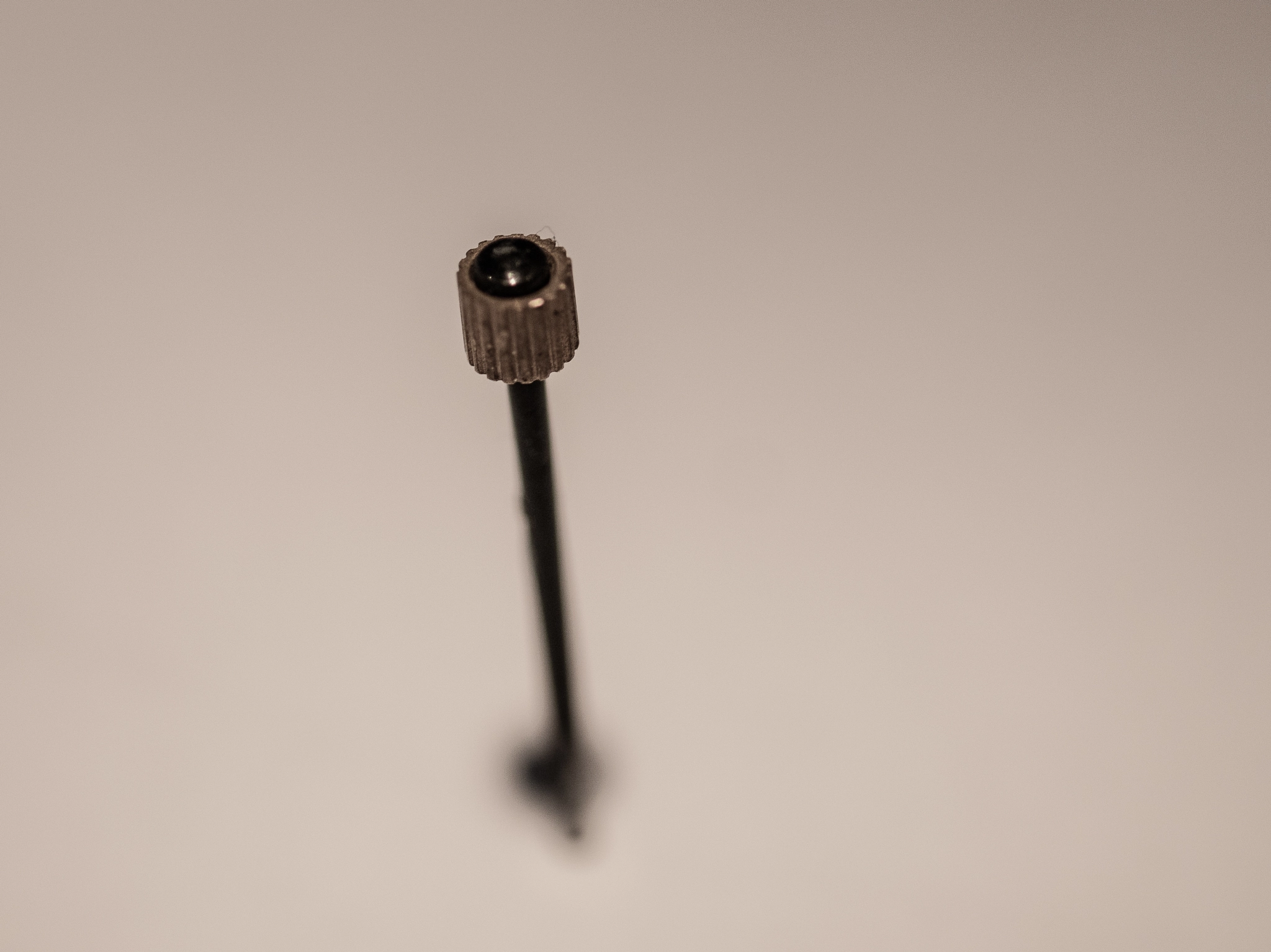 Canon EF 100mm F2.8L Macro IS USM sample photo. Pricked photography