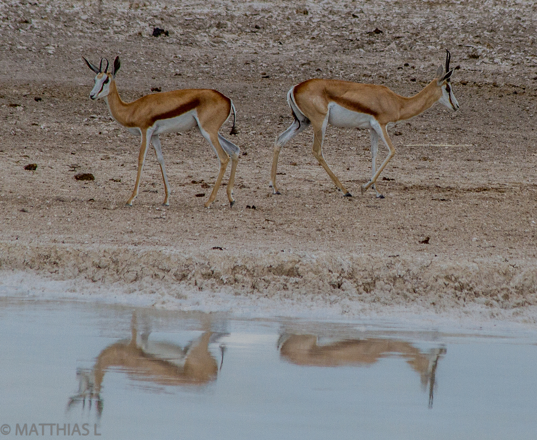 Canon EF 70-300mm F4-5.6 IS USM sample photo. Namibia photography