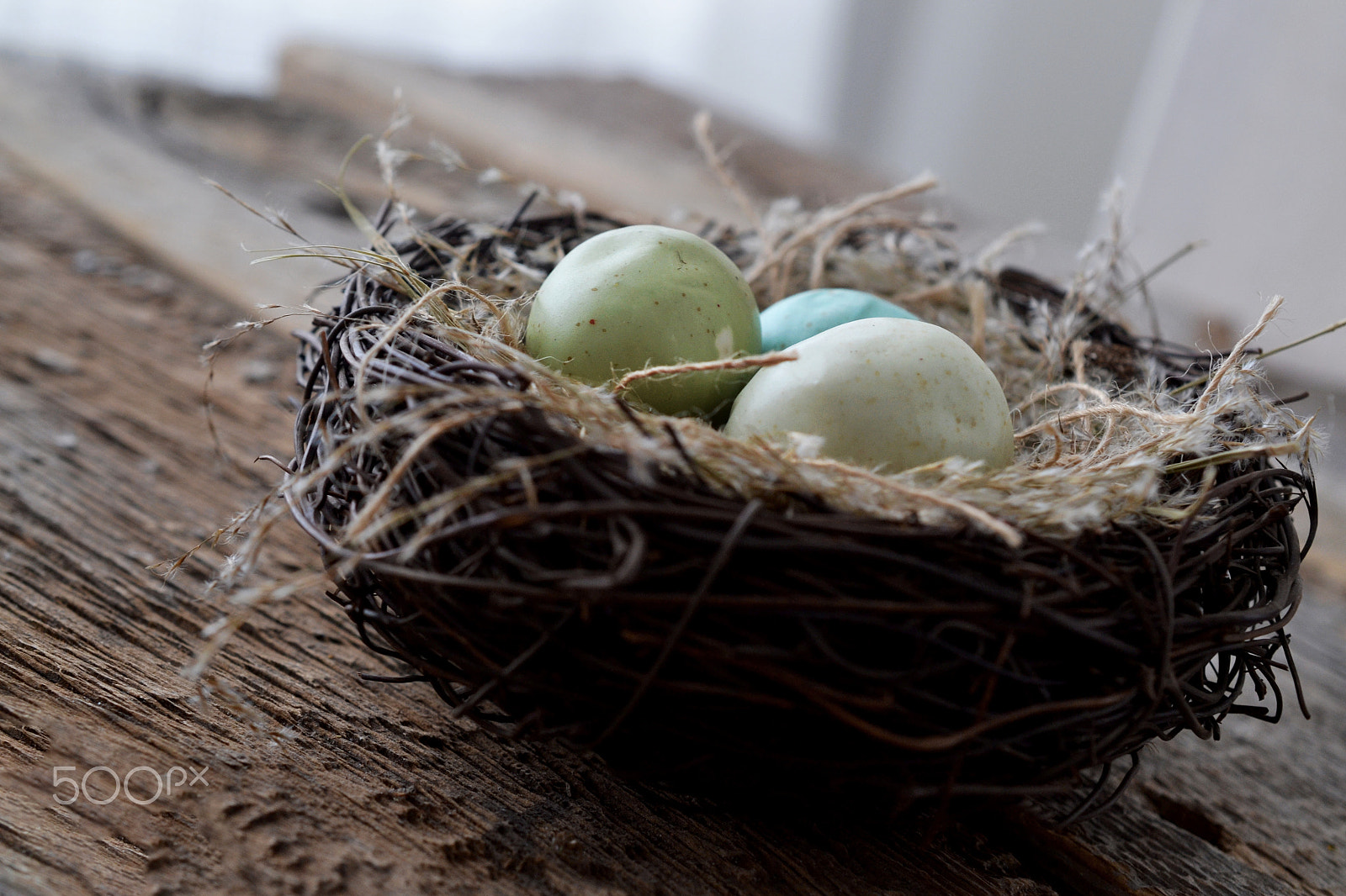 Nikon AF-S DX Micro Nikkor 40mm F2.8 sample photo. Eggs in a nest photography
