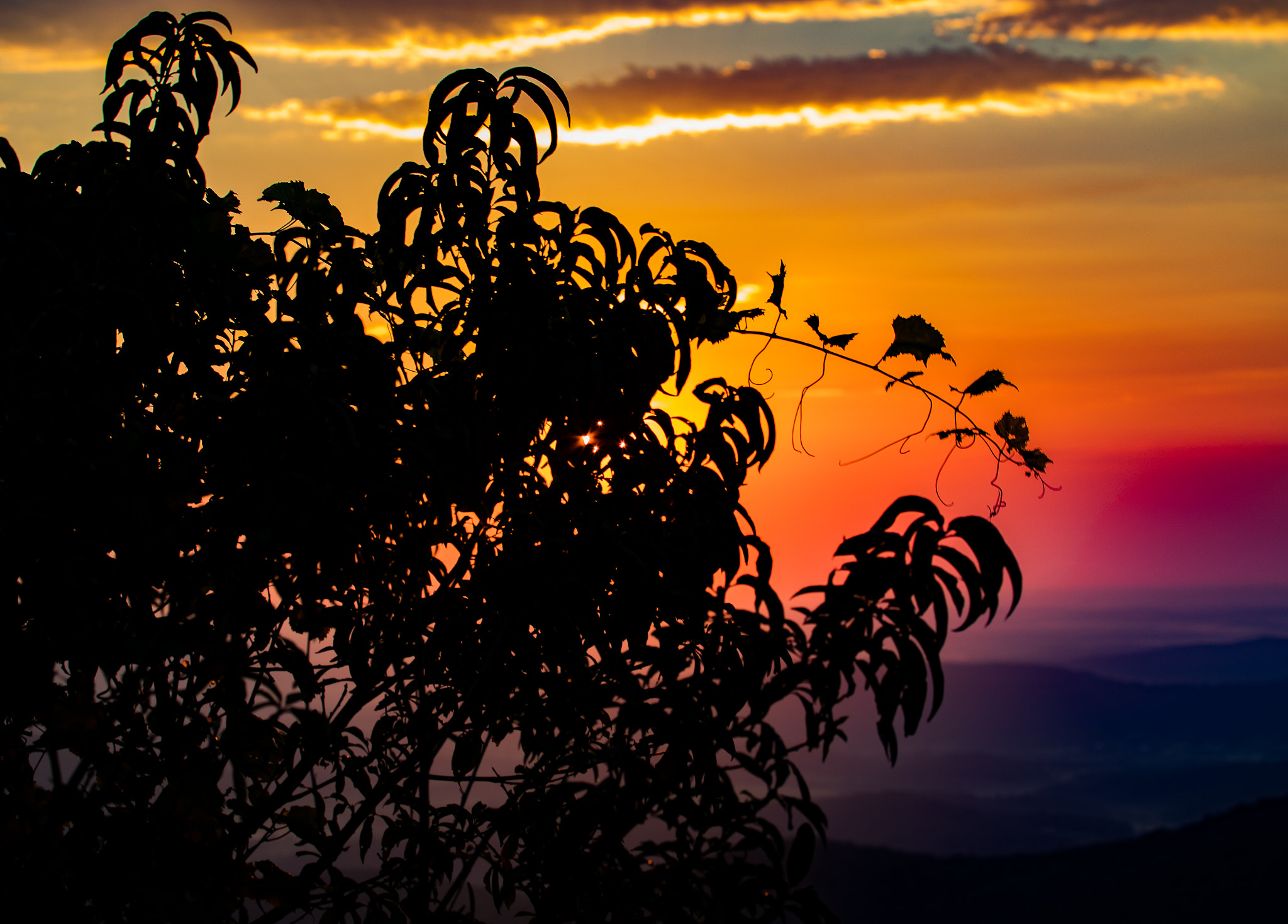 Canon EOS 5D Mark IV sample photo. Shenandoah valley sunrise photography