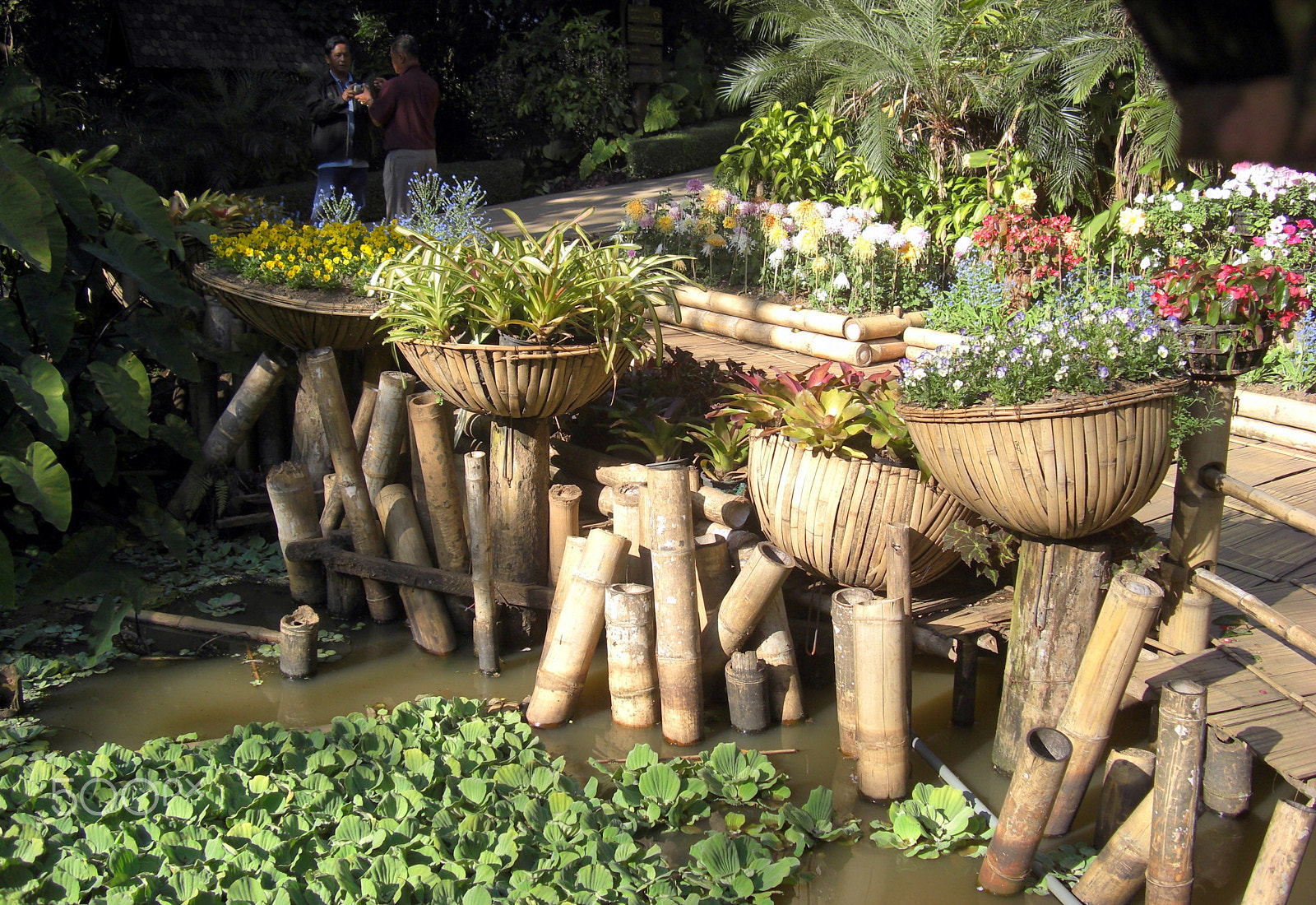 CASIO EX-Z1200 sample photo. Thai rural lifestyle photography